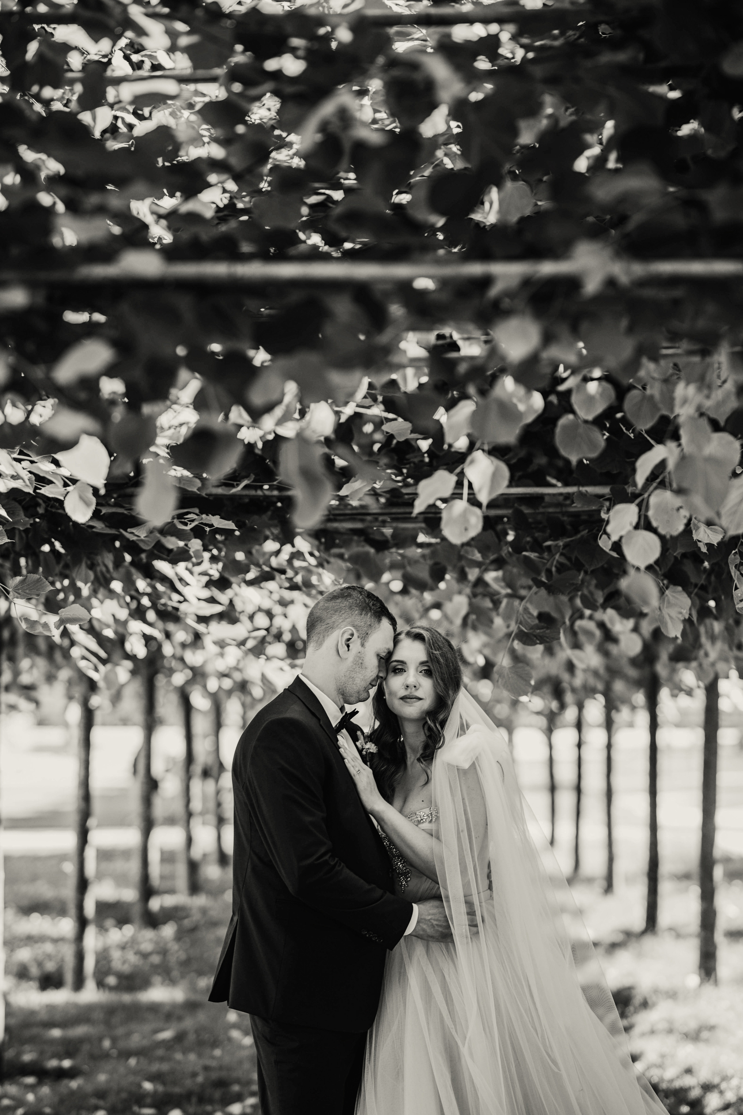 Viktorija / Edvardas. Wedding and family photographer in Lithuania — Yvanessa Gelvano