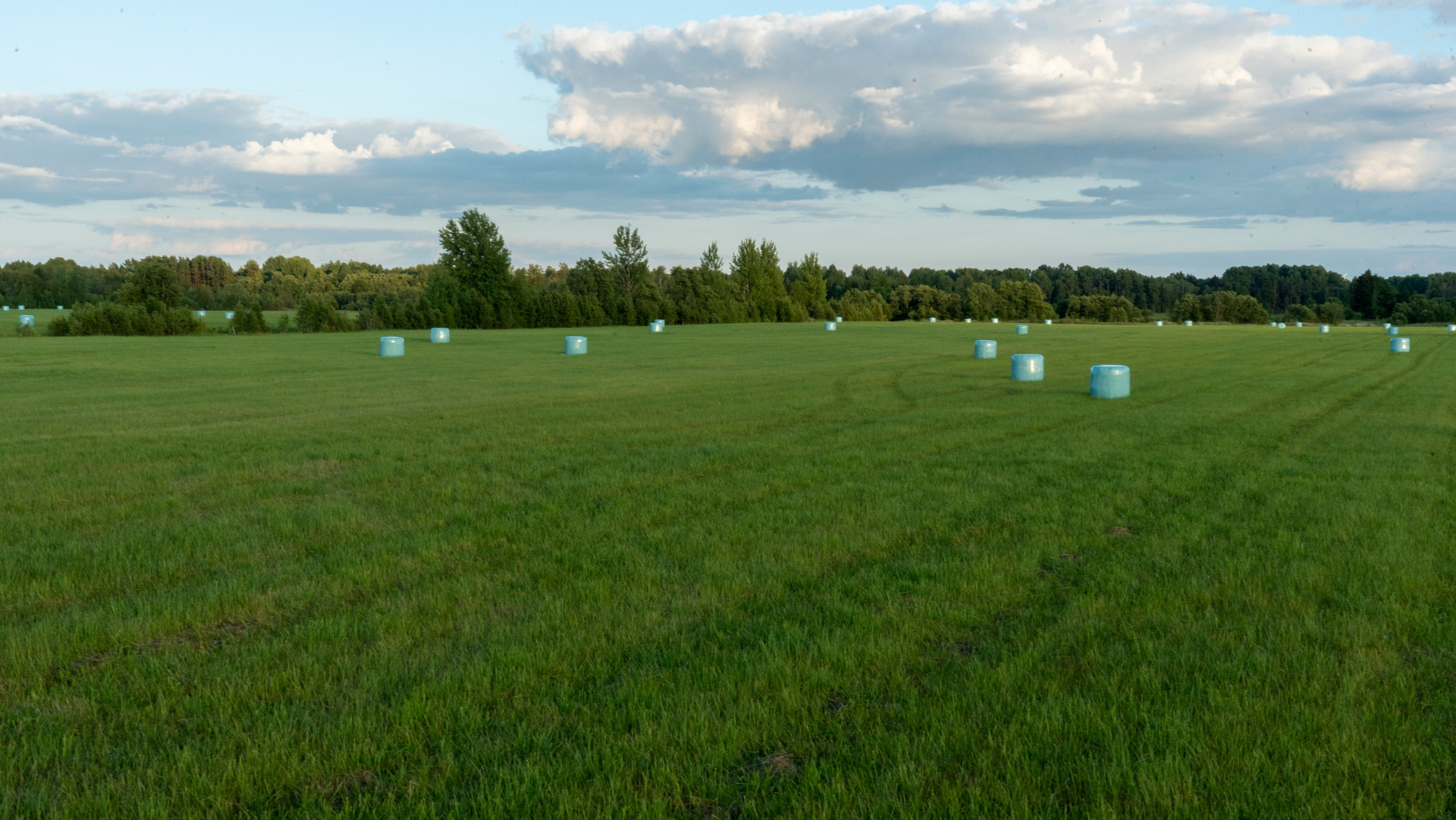 Whispers of Estonia. Photography | Videography | Marketing