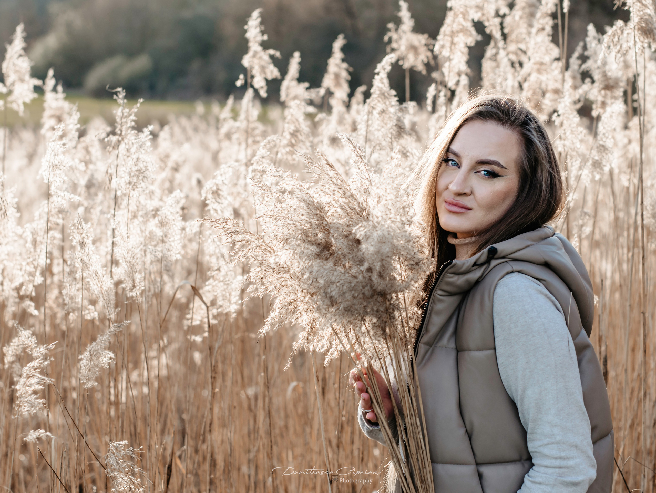 Golden Reeds. Dumitrasca Ciprian Photography