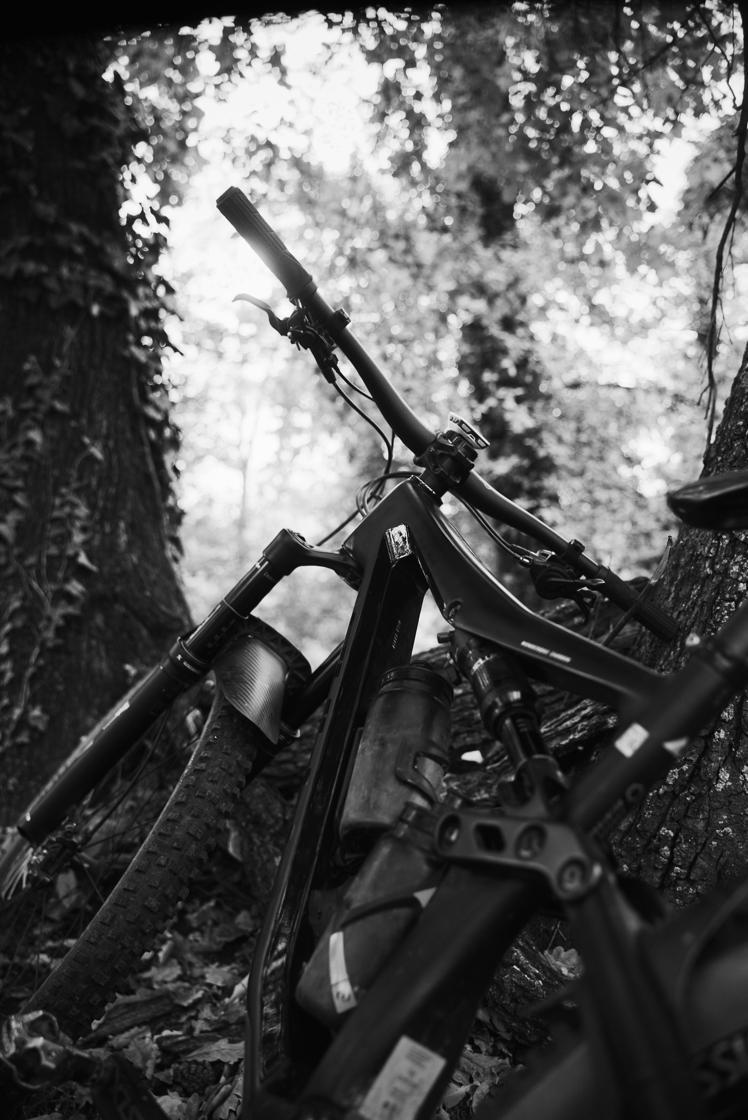 Reload energy shot. Жуков Студио