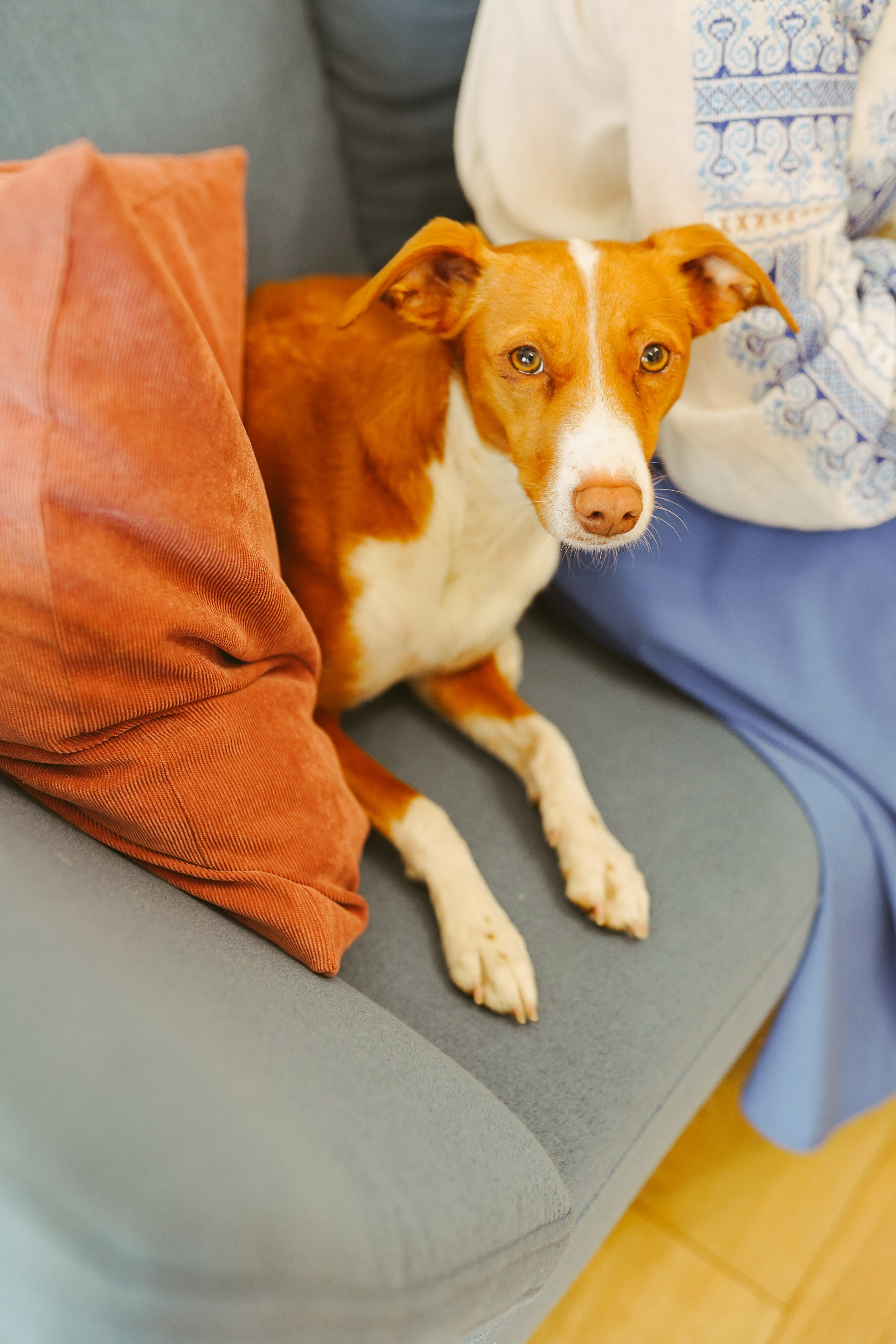 Fotografie de Eveniment Brașov: Povești Vizuale | Mădălina Beda. Madalina Beda- Artist vizual, fotograf, doula la nastere, consultant babywearing Brasov si in toata tara