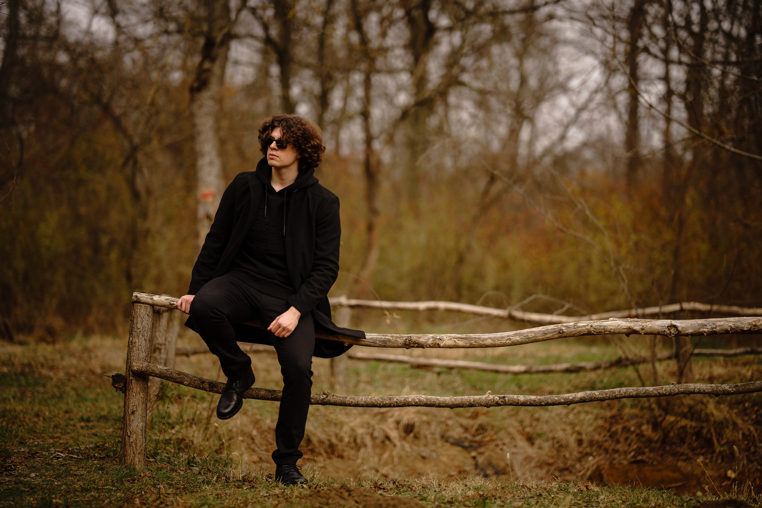 Padurea Ceala Gratuit. Trendy Albums