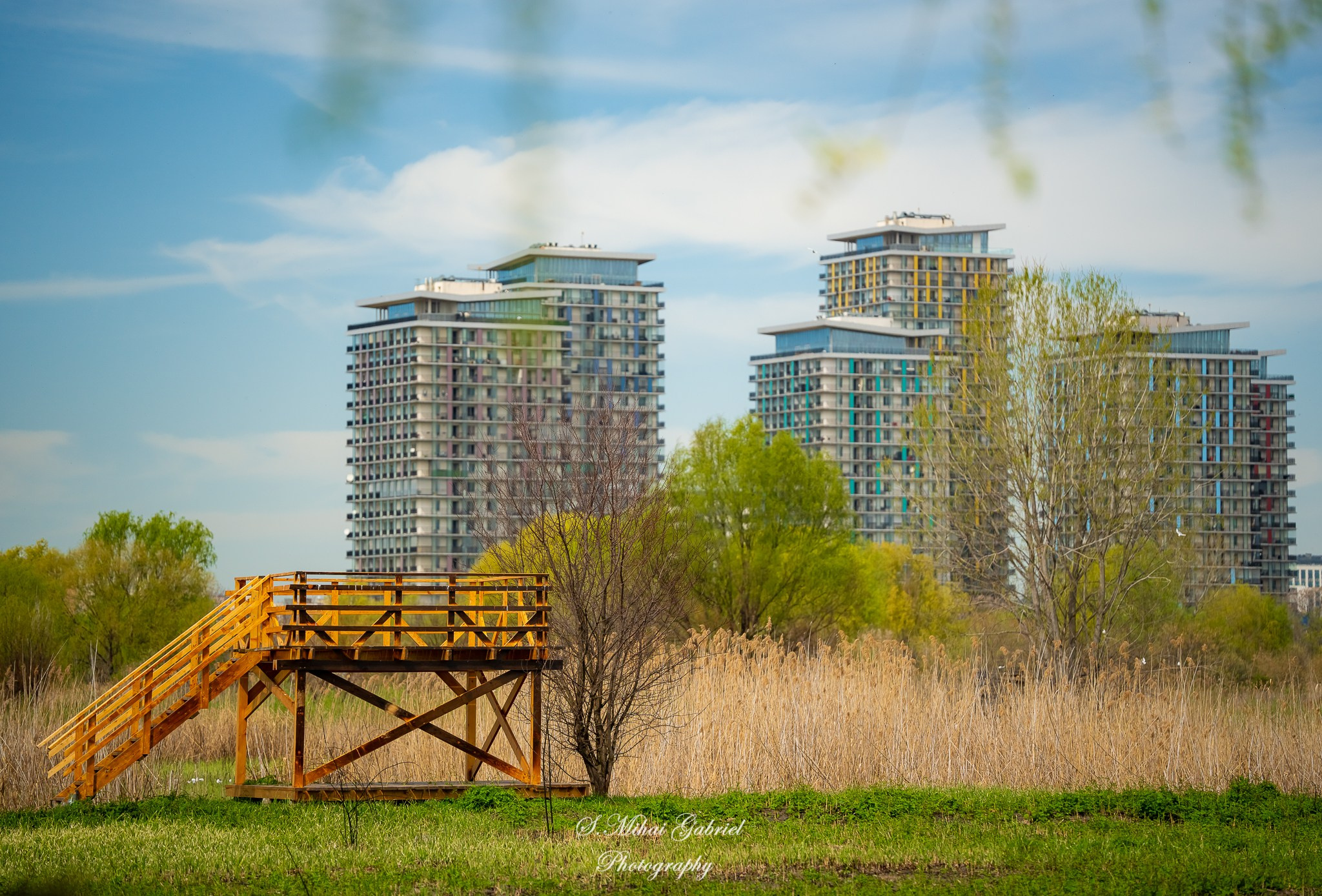 Natura. Foto Studio — Fotograf de evenimente, nunti, botezuri, portrete