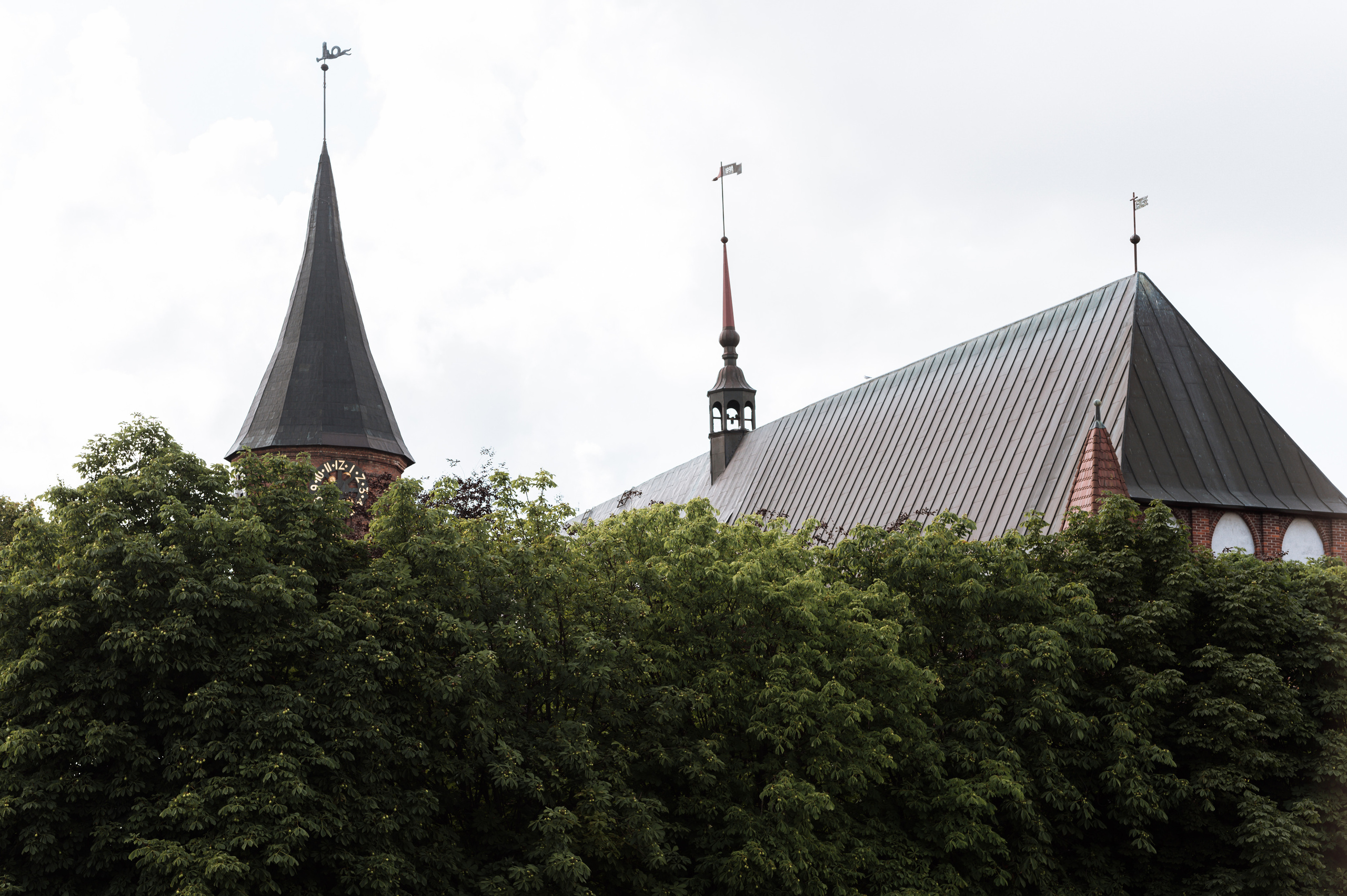 Дмитрий Юлия. Свадебная прогулка. Fotografin in Leipzig Dresden