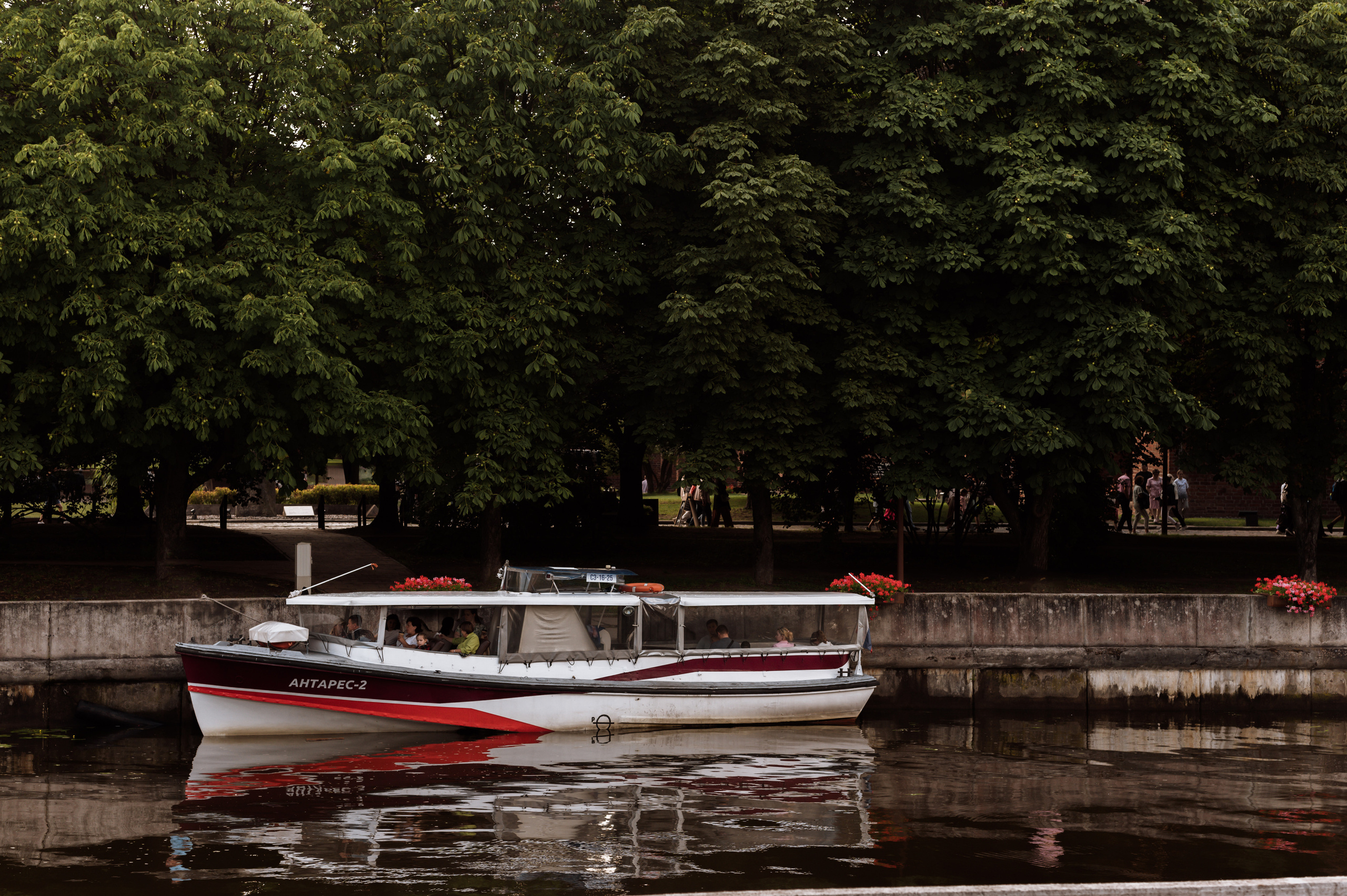 Дмитрий Юлия. Свадебная прогулка. Fotografin in Leipzig Dresden