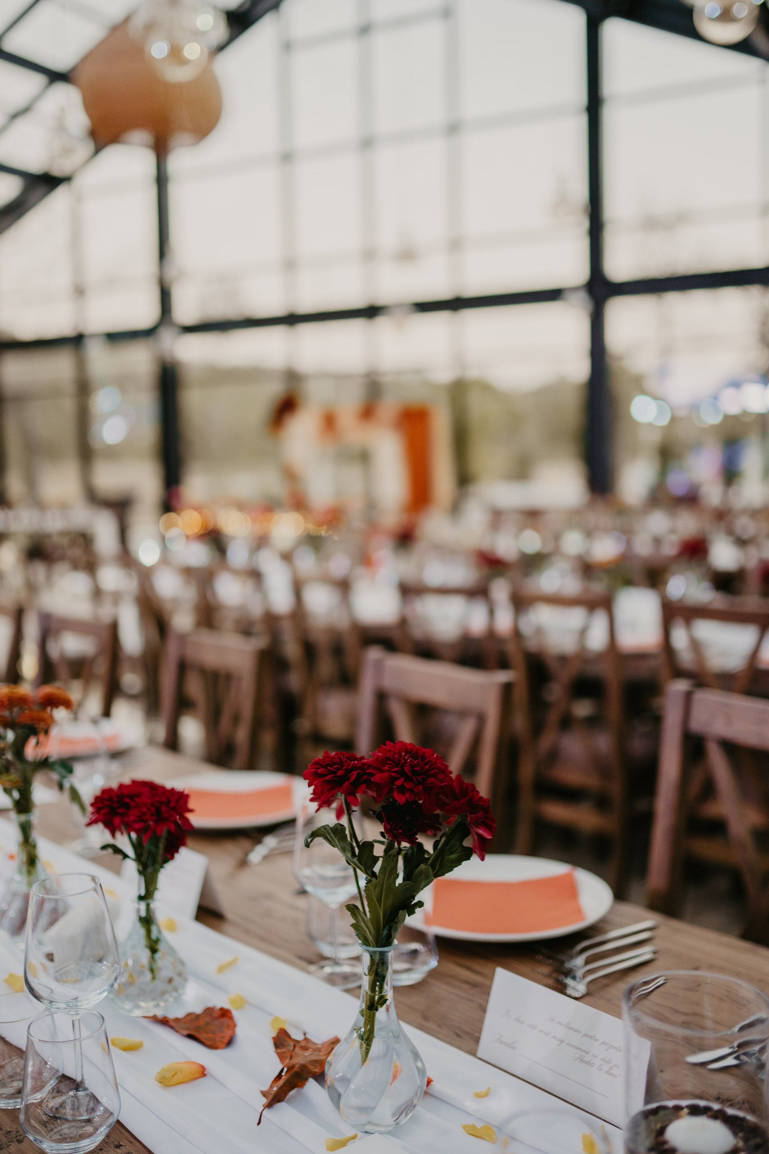 Lavinia & Gabriel. Gabrielacojocariu.com