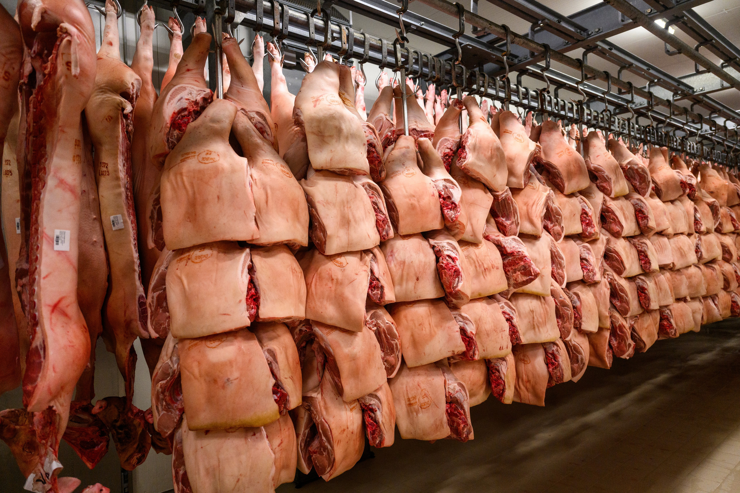 RGK saldētavas atklāšana. Ritvars Pujats Emotion Photographer