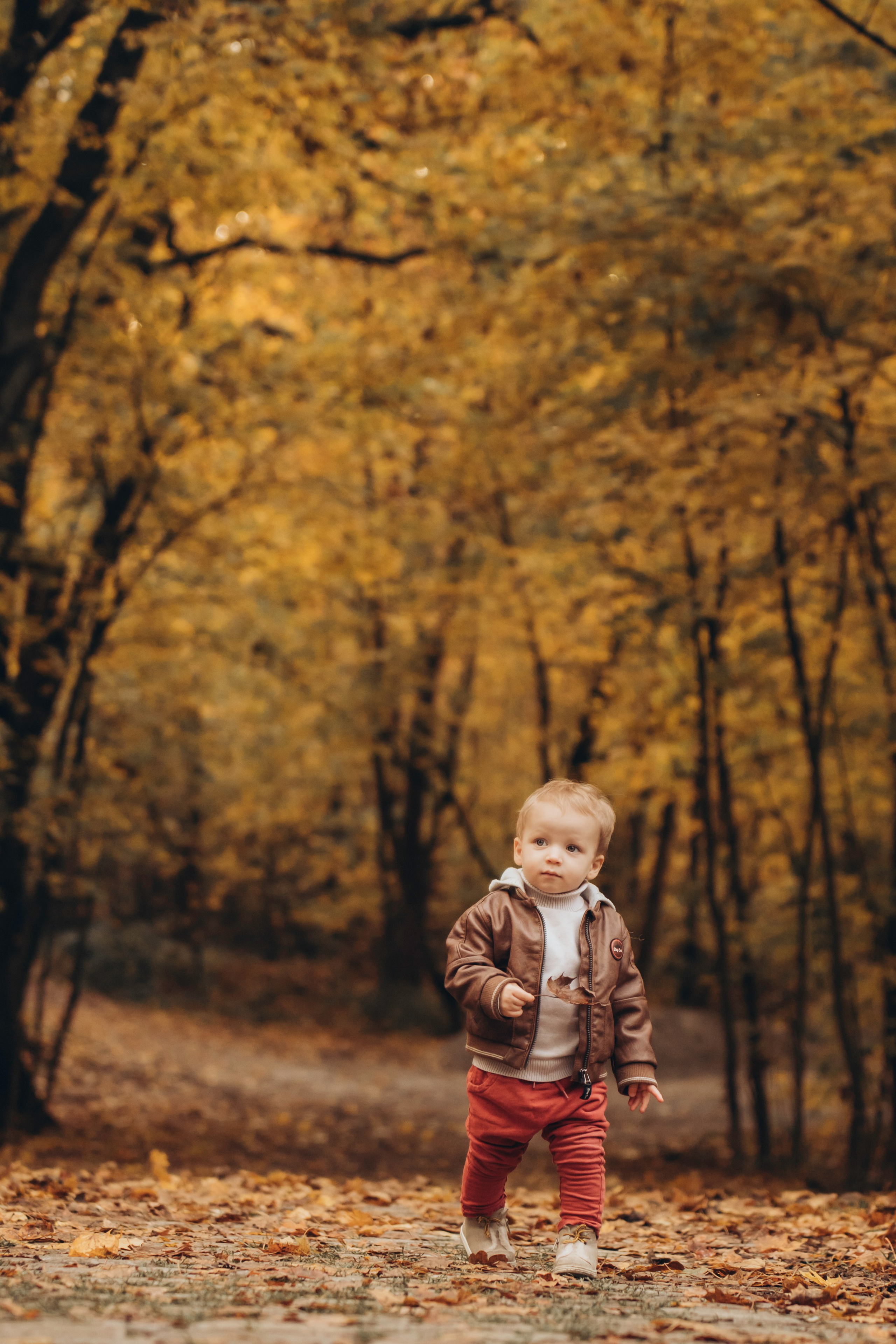 Familien Fotoshooting in Nürnberg. Fotoshooting in Nürnberg und Fürth