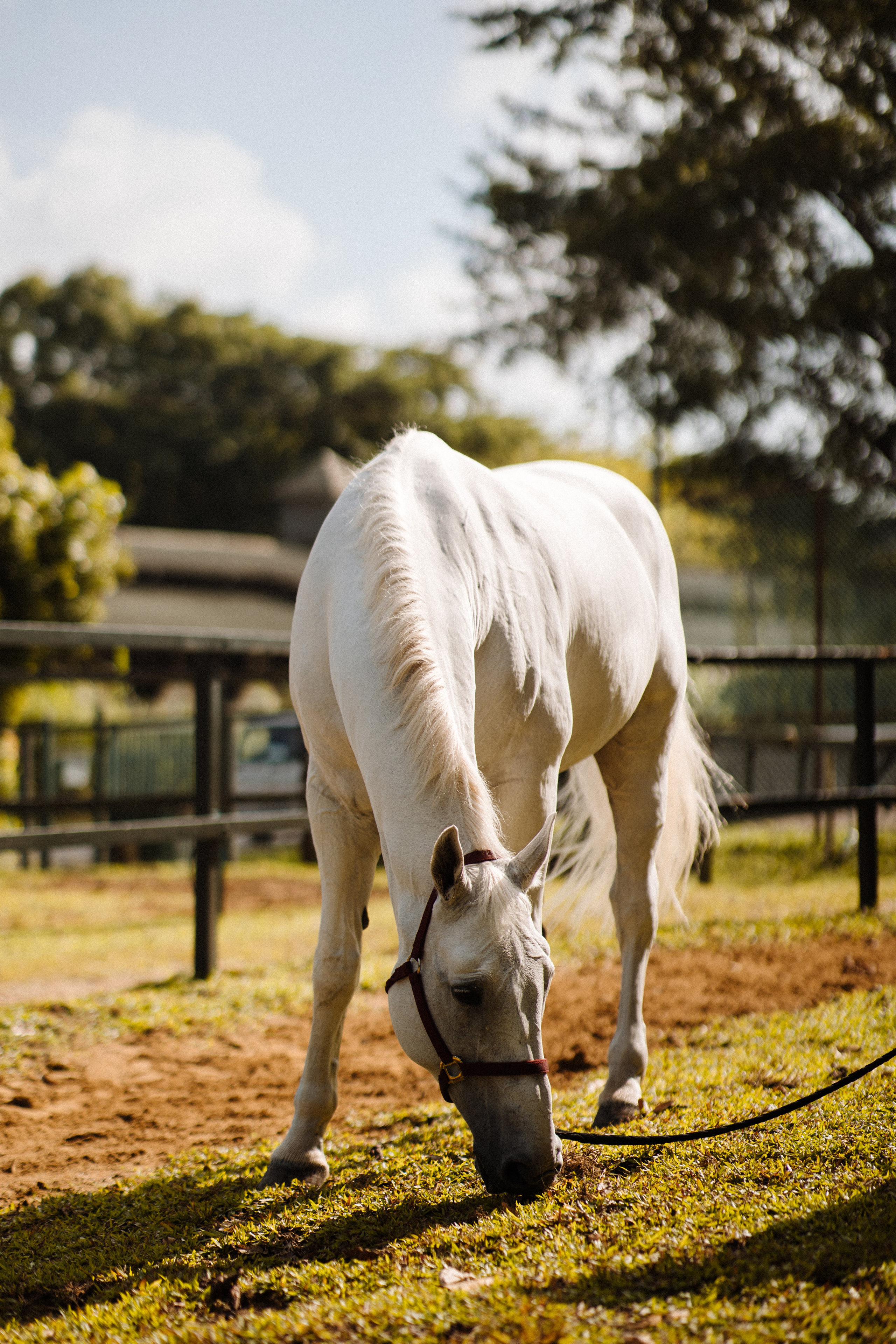 Lynn. Photographer in Singapore Kate Bird