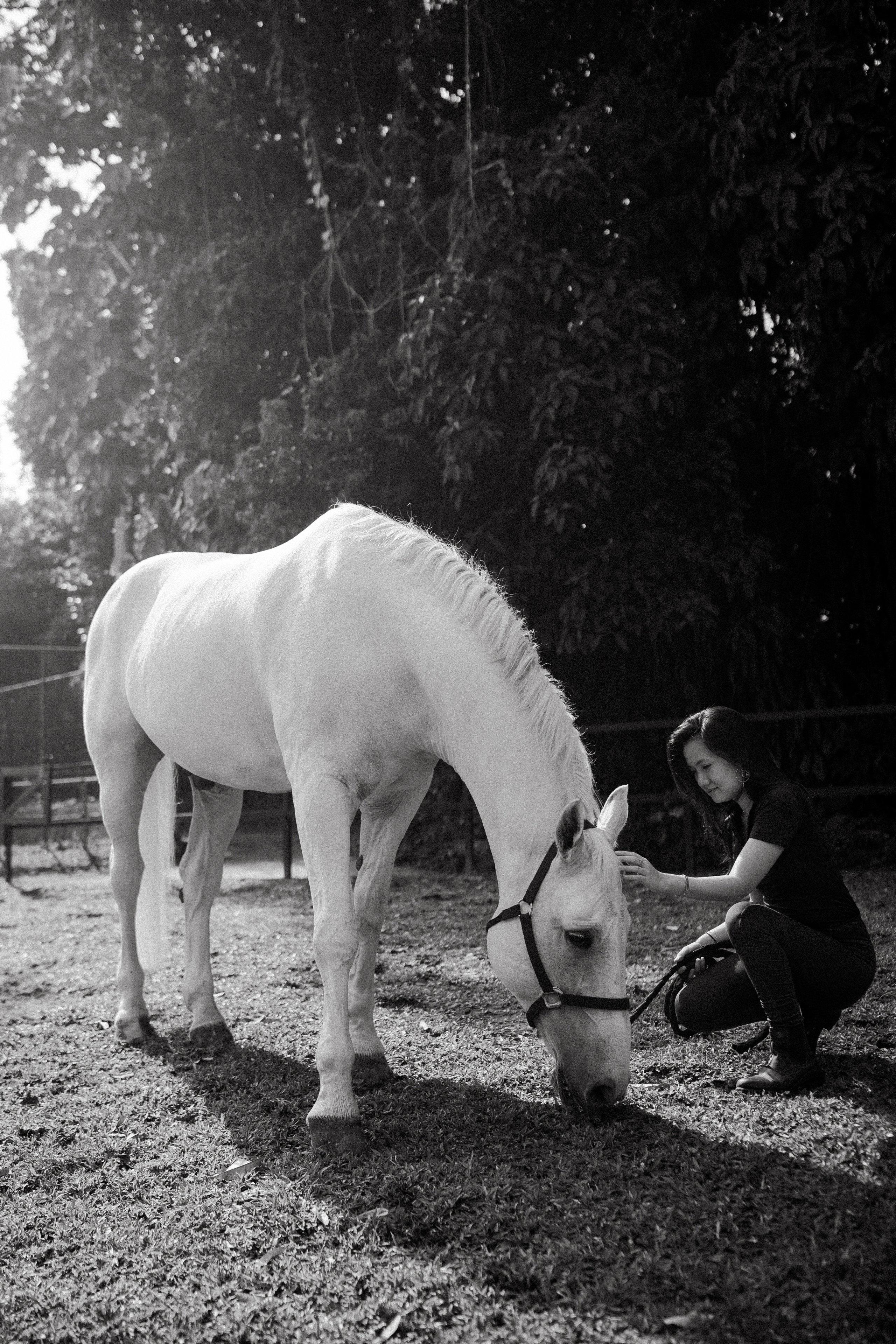 Lynn. Photographer in Singapore Kate Bird