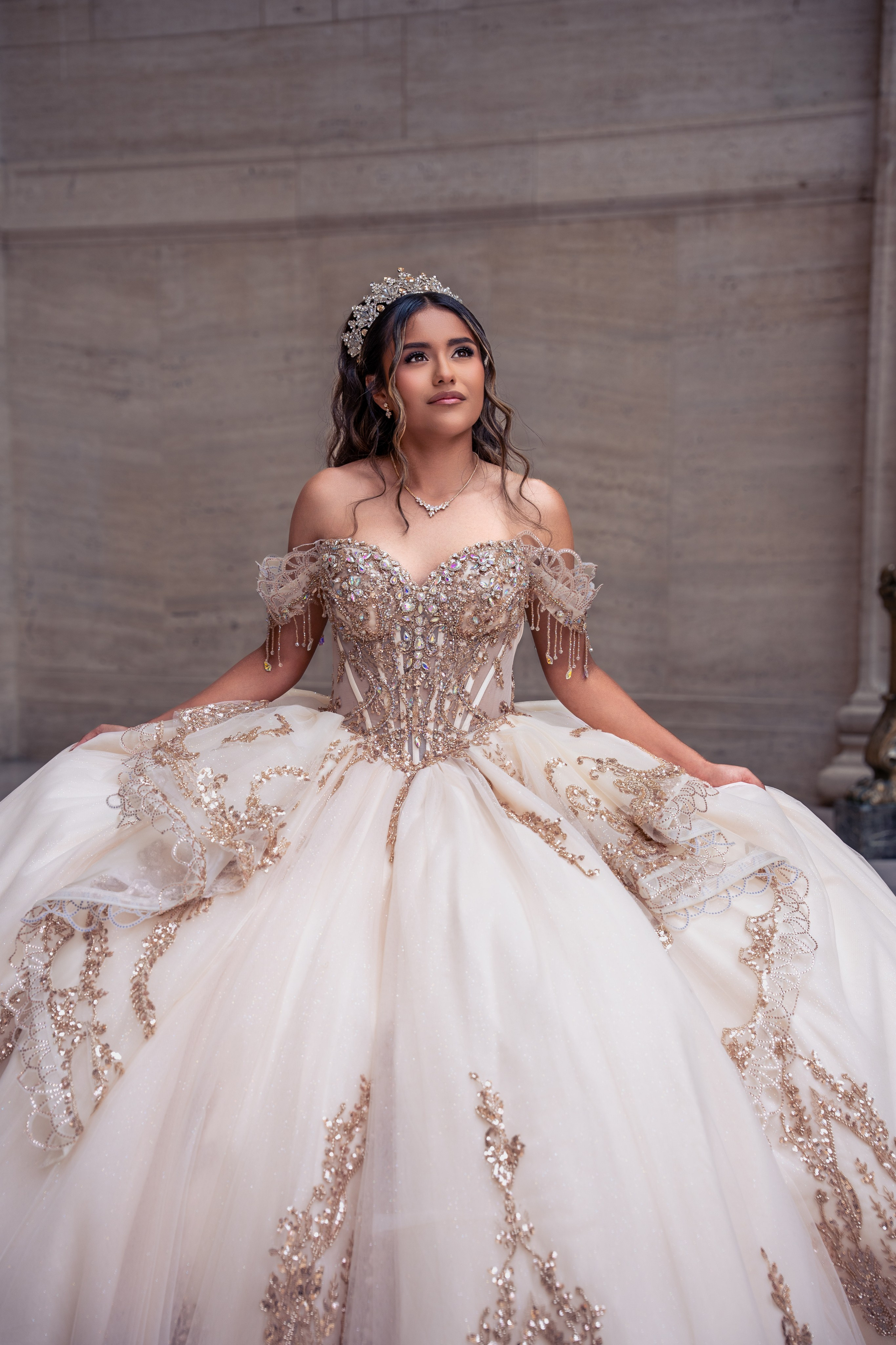 SOFIA XV AÑOS. Quinceañera y Bodas