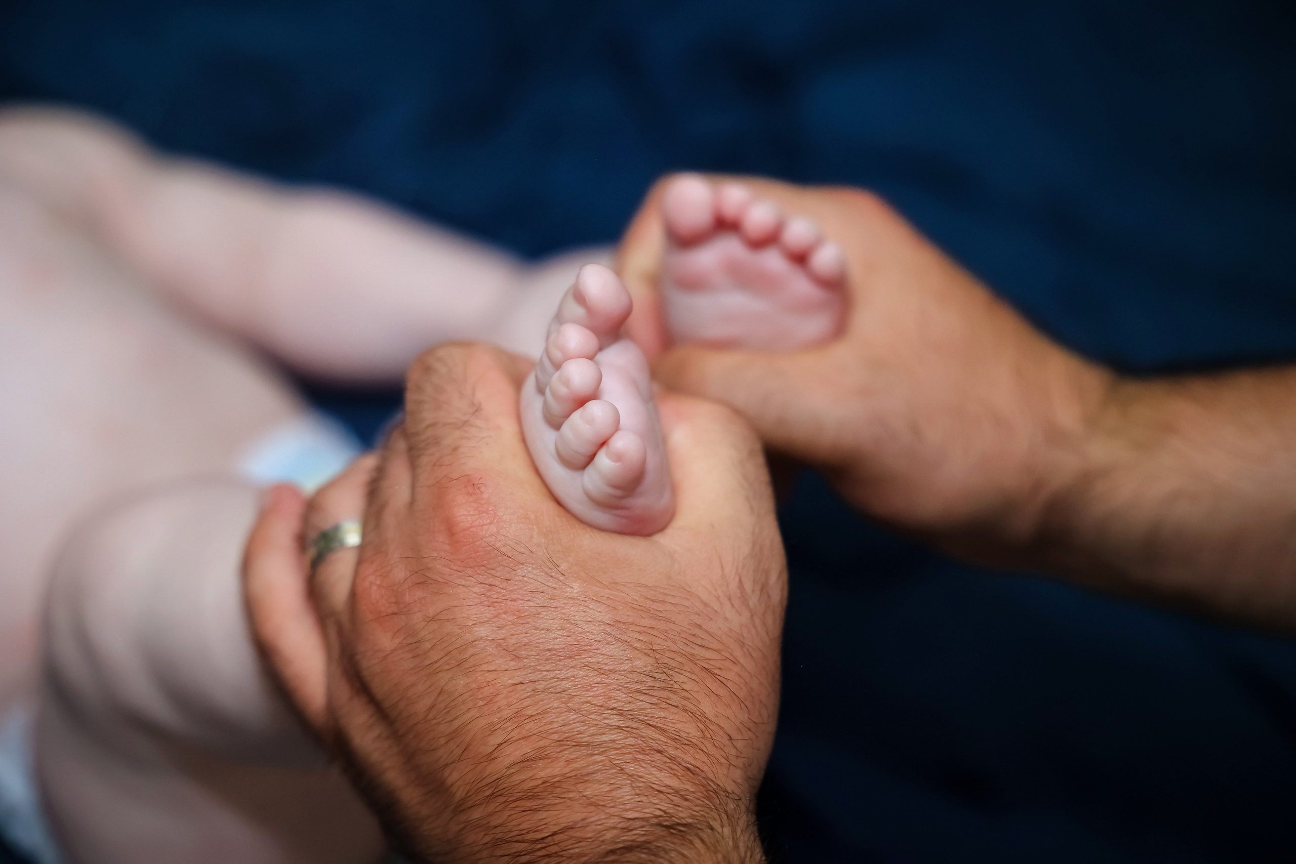 Andrei Damian. Moments By Gub