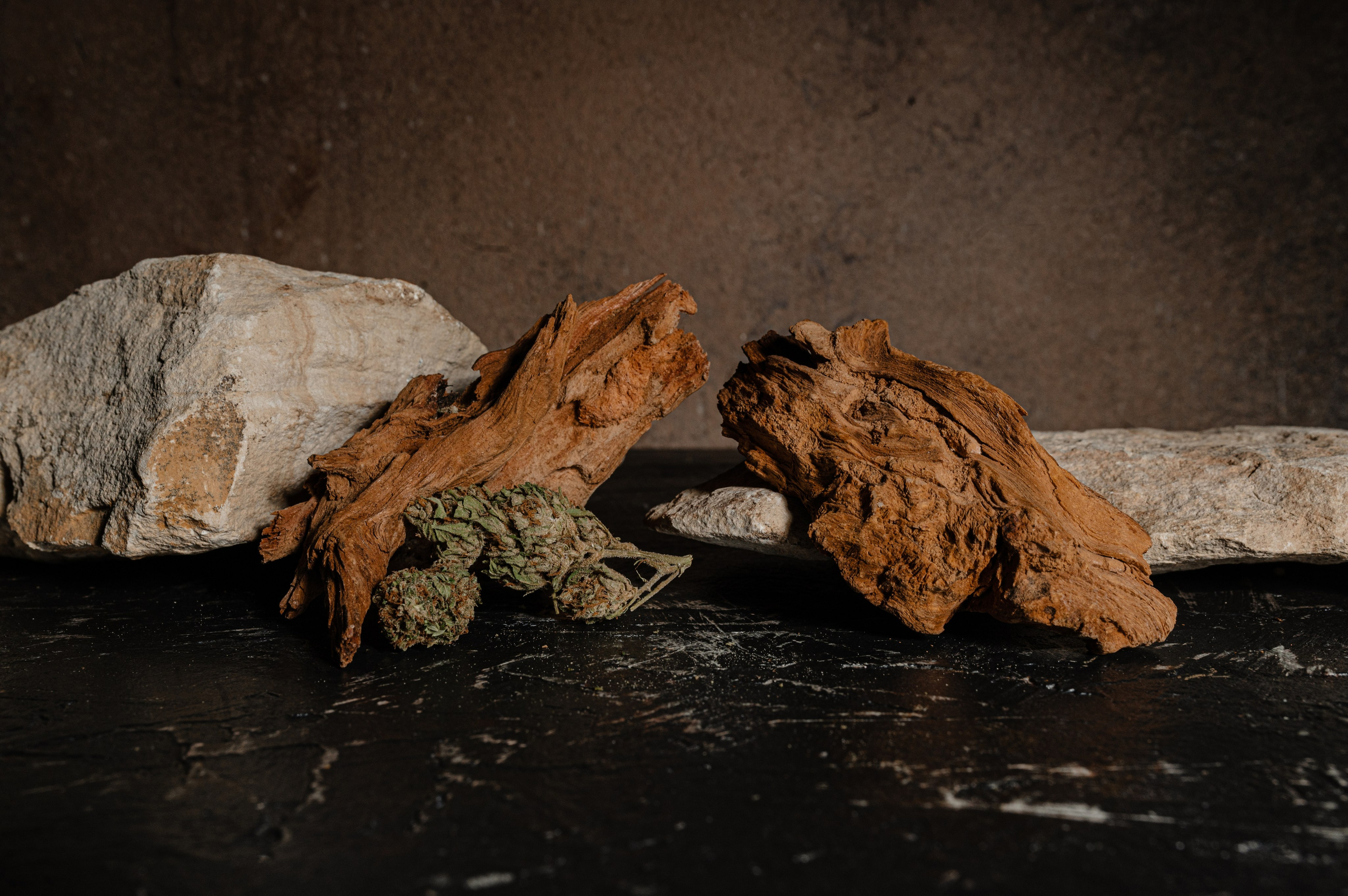 CannaXlife CBD products. ANNA-MARIA PHOTO CONTENT CREATOR — фотограф, эстет, художник и визуальный эксперт в Instagram, работающий в Праге