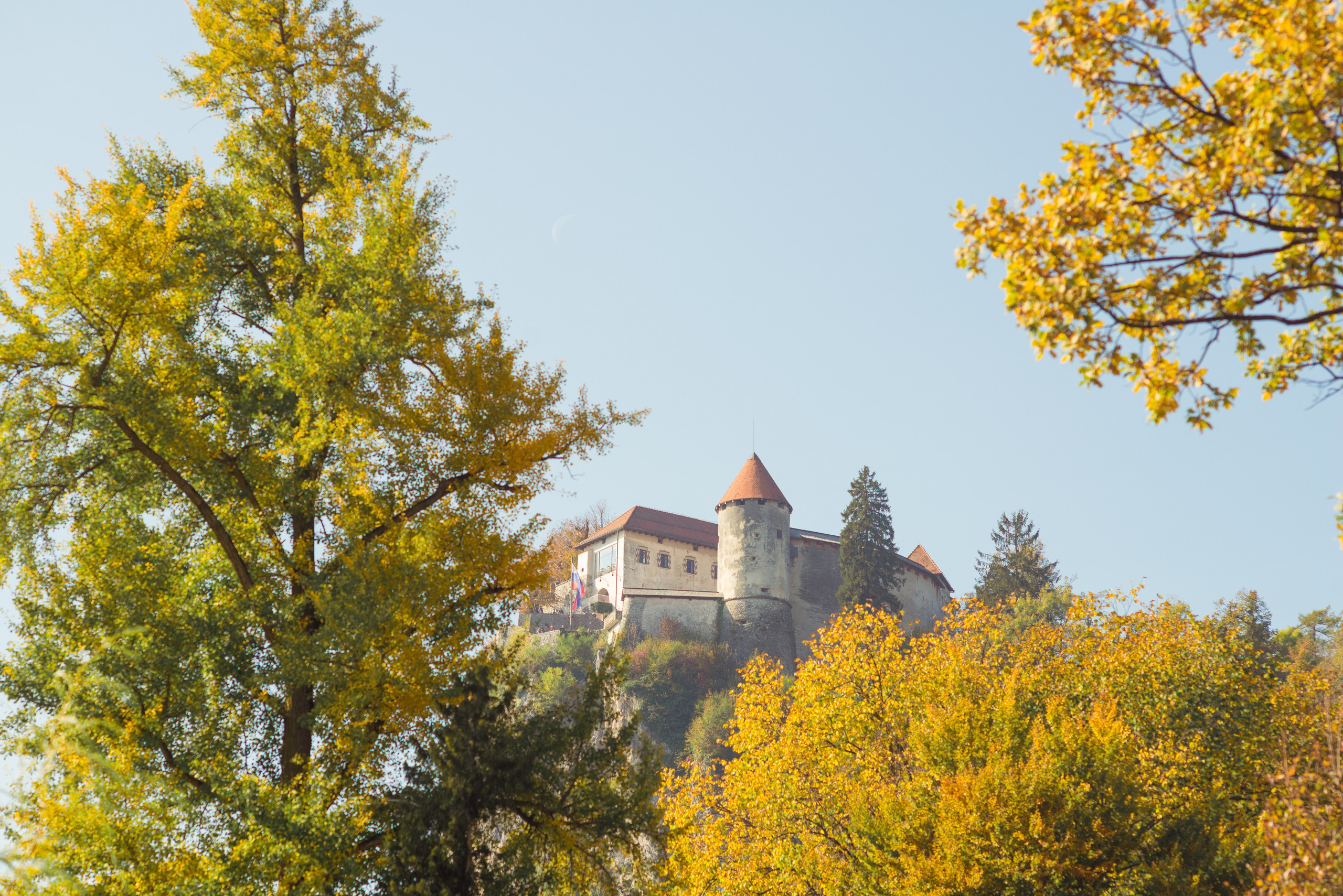 Recent family photo shoots in Slovenia. Wedding and Family Photographer in Slovenia