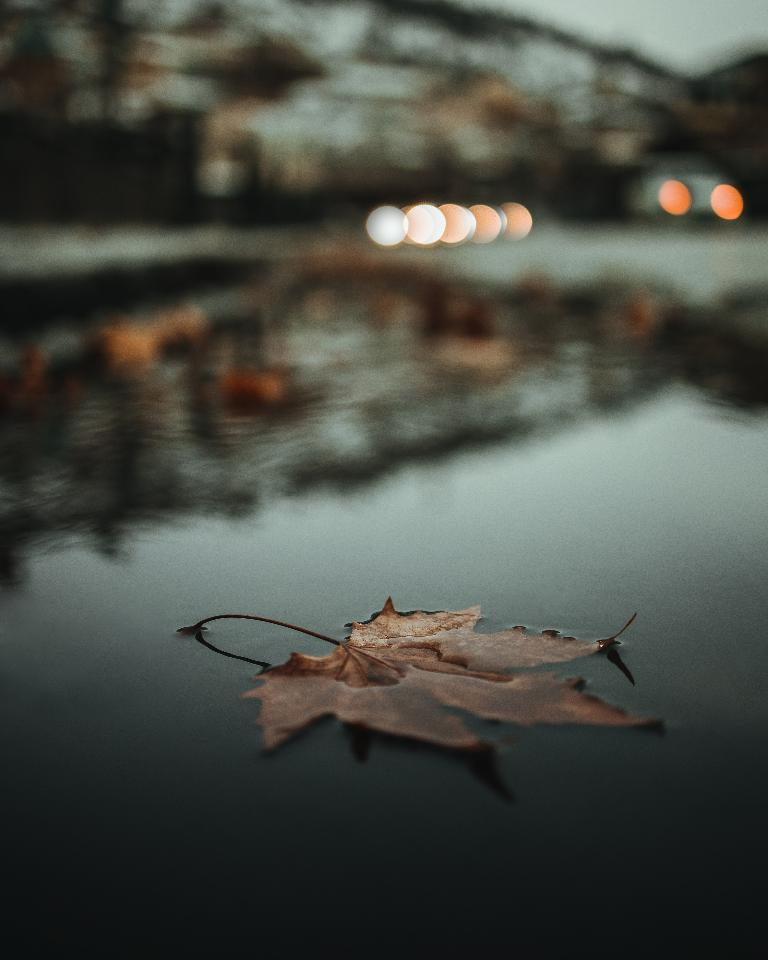 T B I L I S I. Bspander