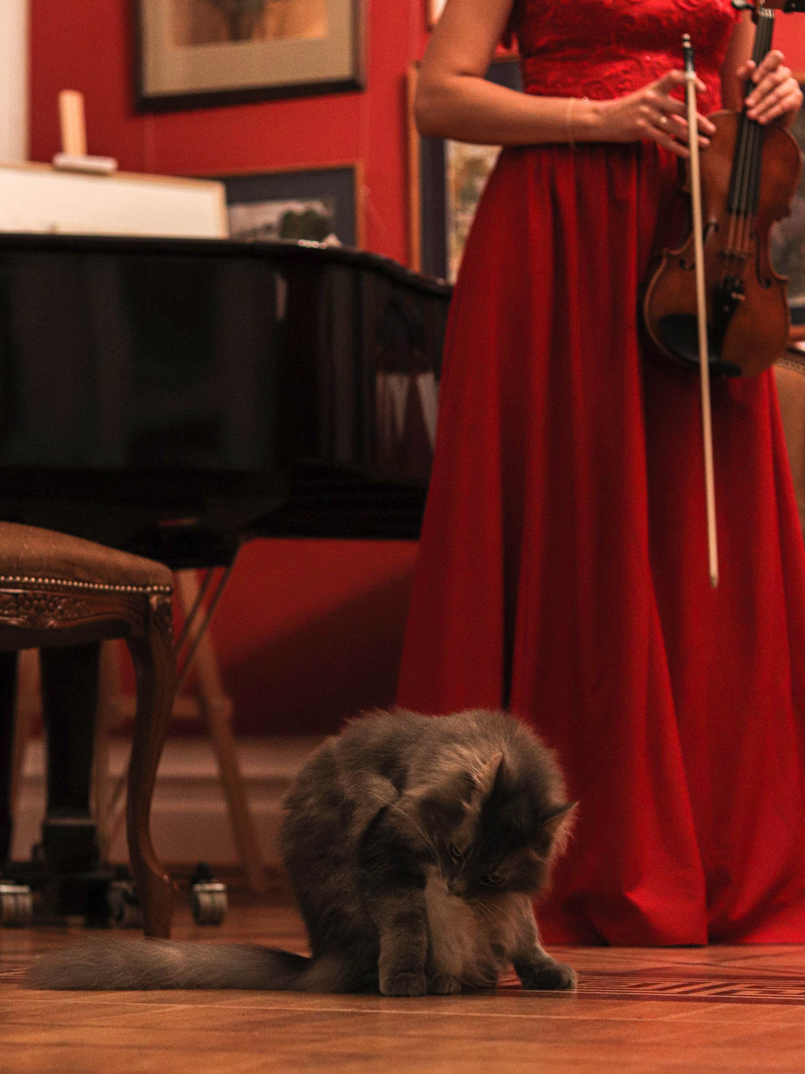 КОНЦЕРТ В ДОМЕ-КВАРТИРЕ БЕНУА (САНКТ-ПЕТЕРБУРГ) 2022