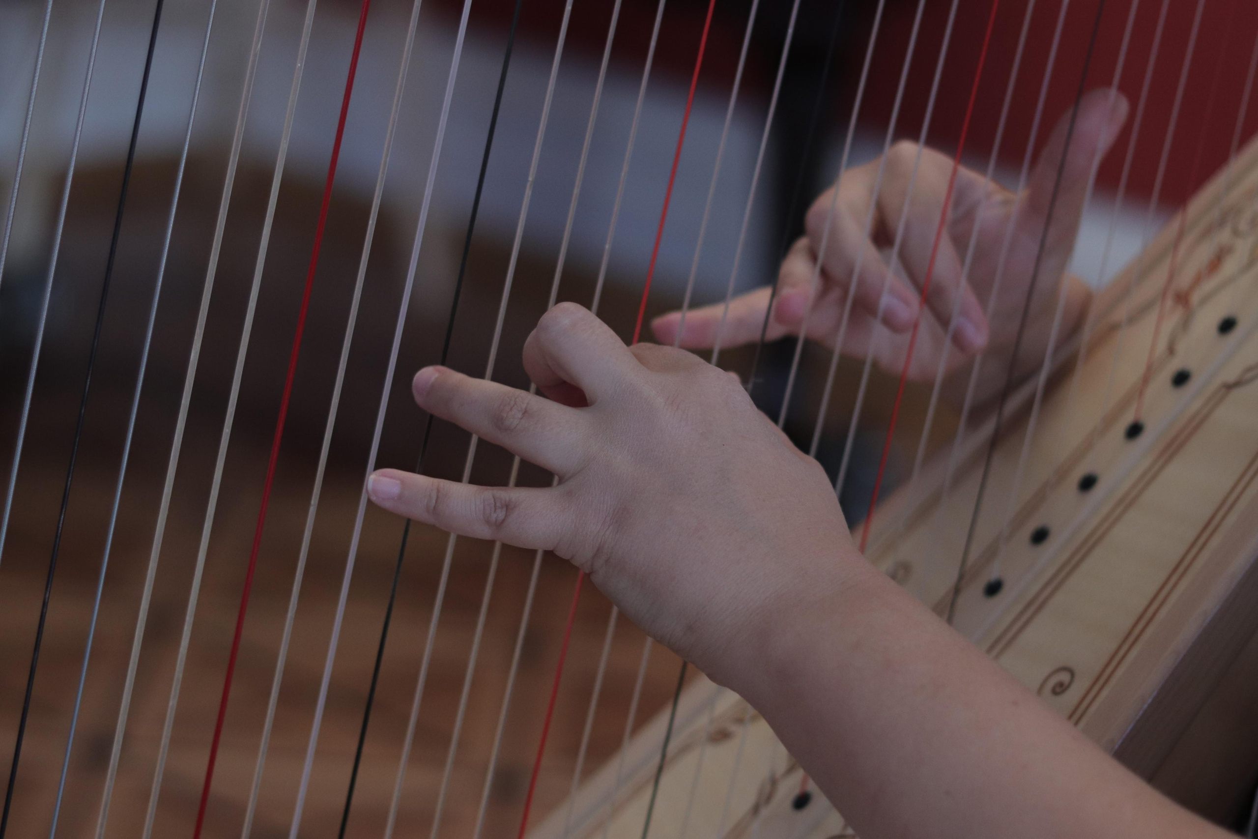 РЕПЕТИЦИЯ В ДОМЕ КВАРТИРЕ БЕНУА (САНКТ-ПЕТЕРБУРГ) 2022