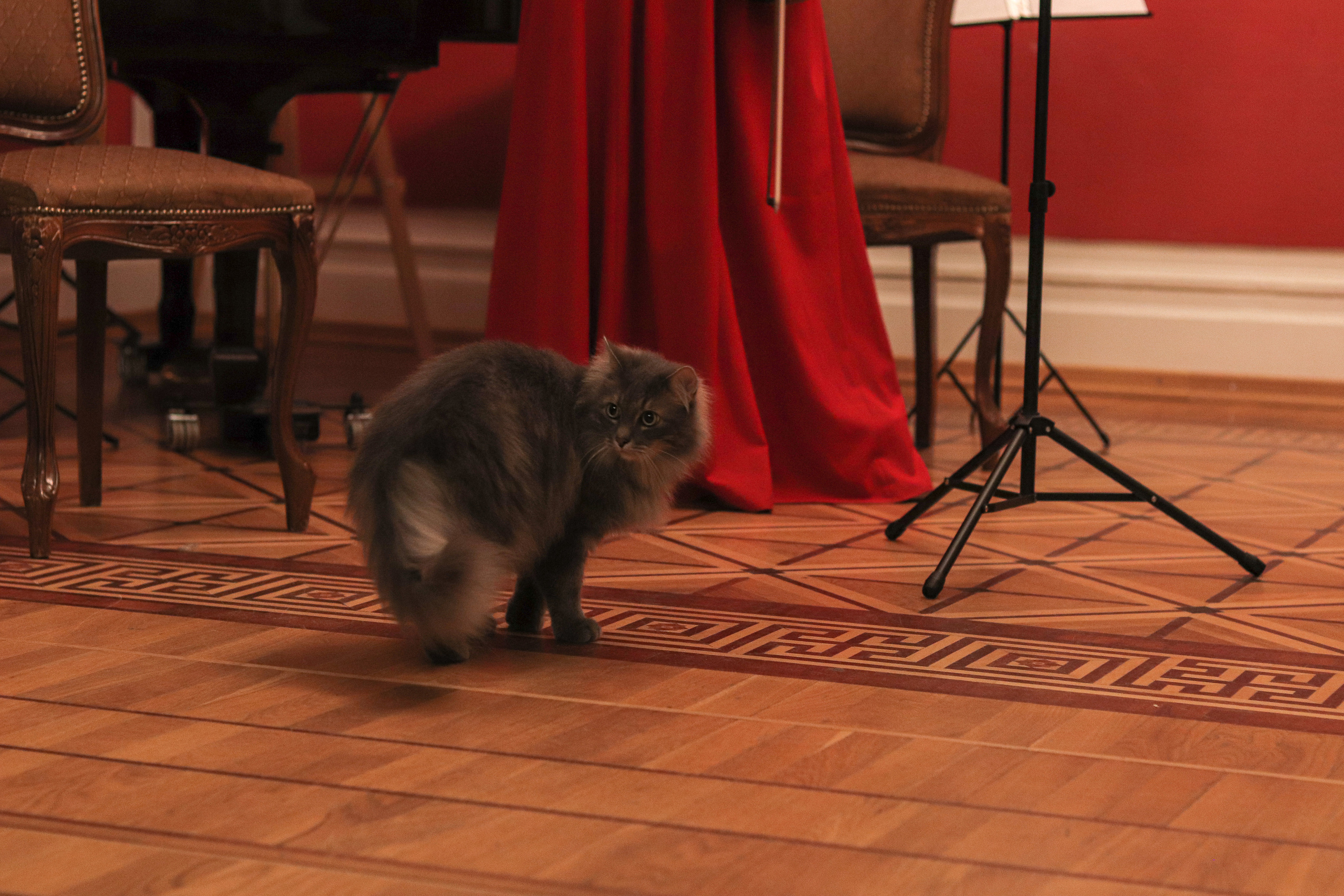 КОНЦЕРТ В ДОМЕ-КВАРТИРЕ БЕНУА (САНКТ-ПЕТЕРБУРГ) 2022