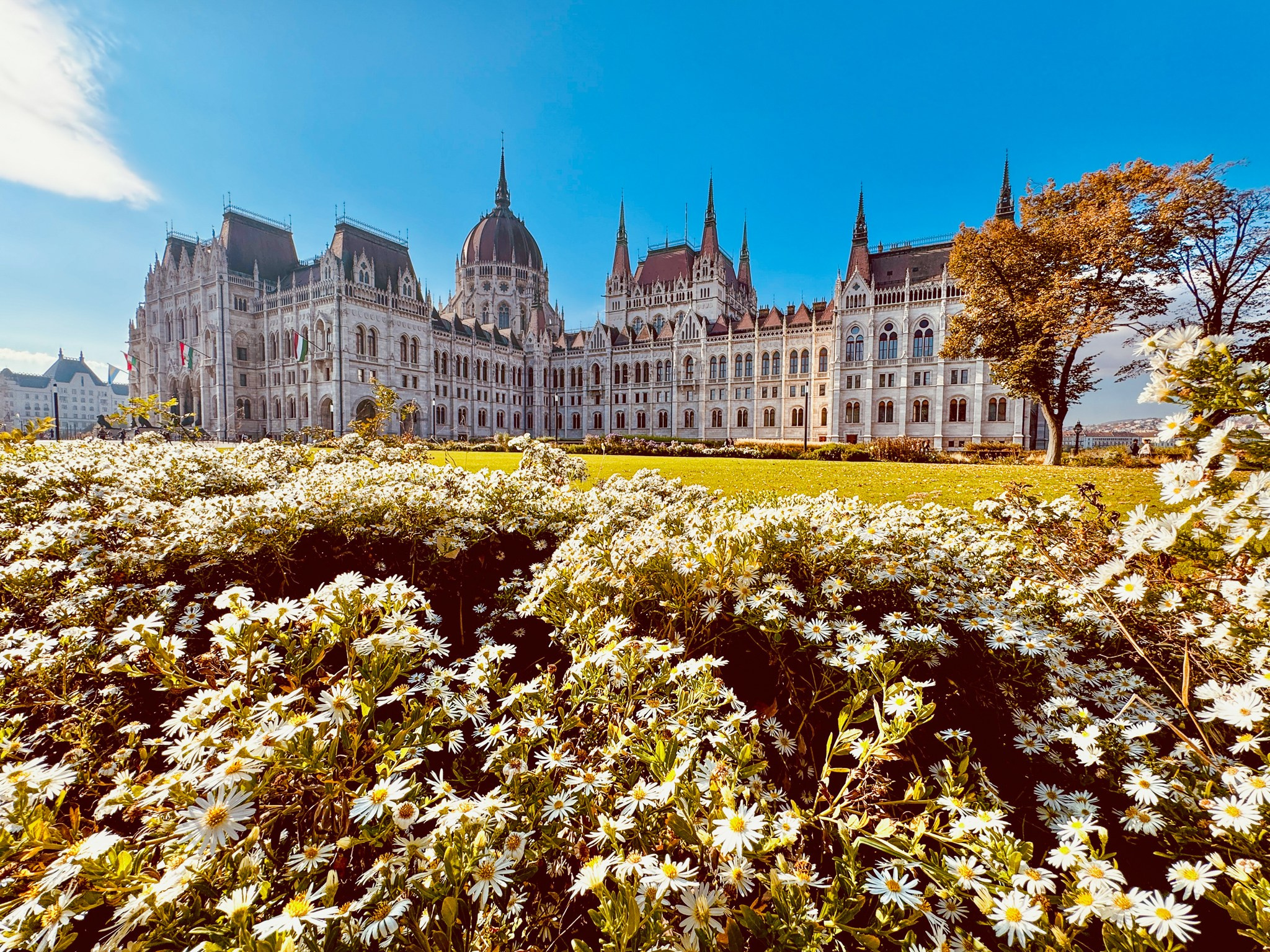 Fotografie urbana. Daniel Criste Fotograf