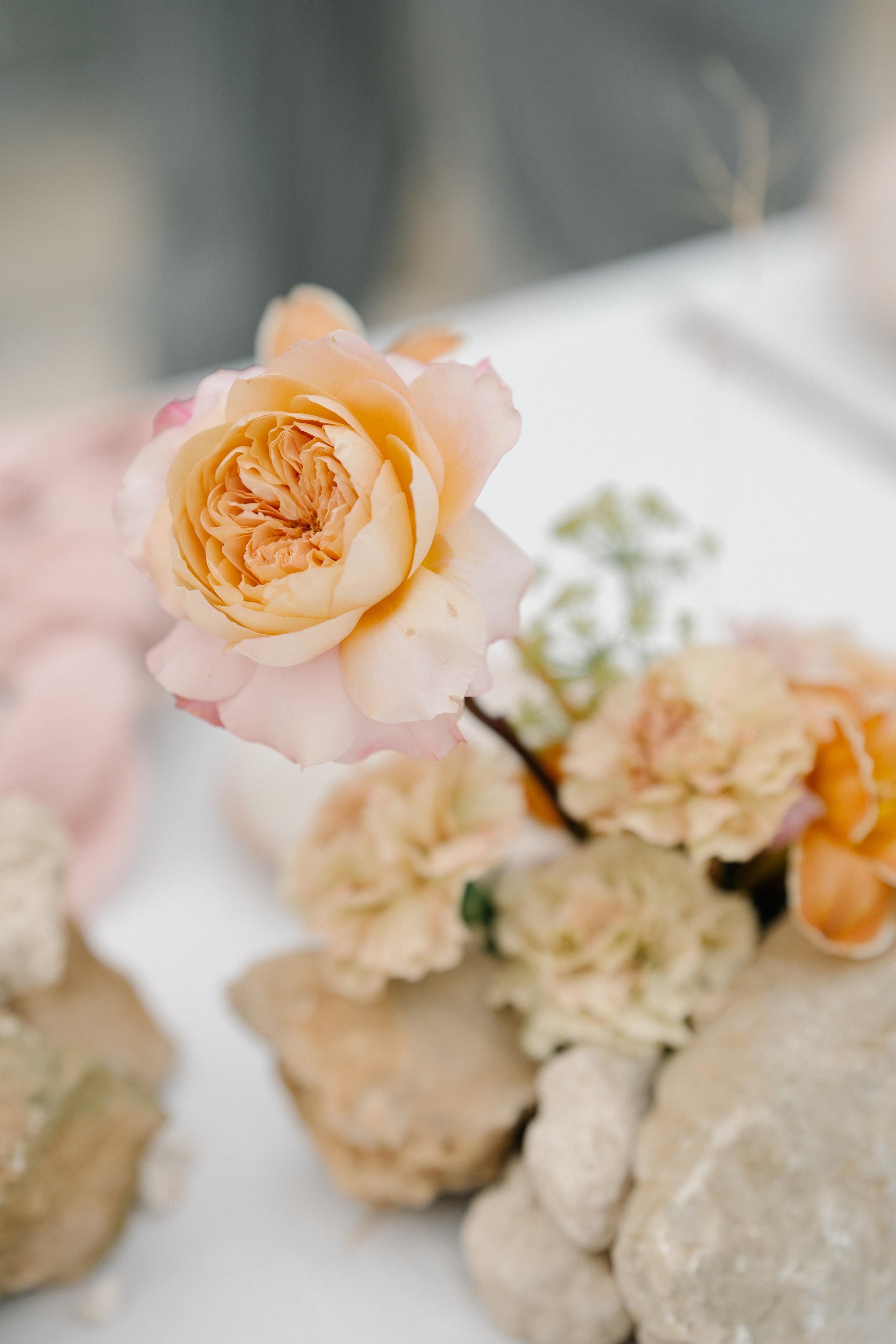 Alyssa&Sean. Wedding photographer Italy