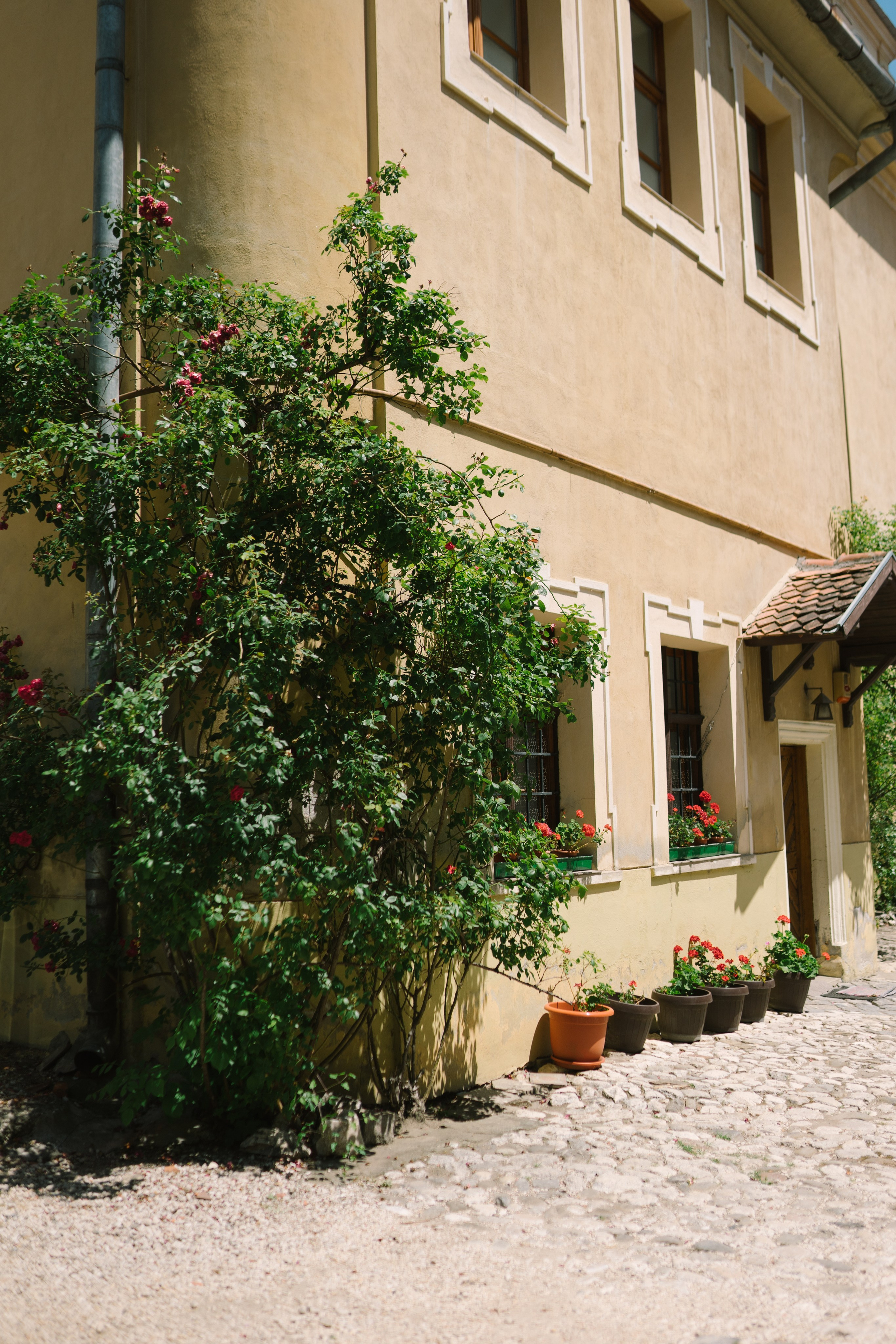 Fotografie de Eveniment Brașov: Povești Vizuale | Mădălina Beda. Madalina Beda- Artist vizual, fotograf, doula la nastere, consultant babywearing Brasov si in toata tara