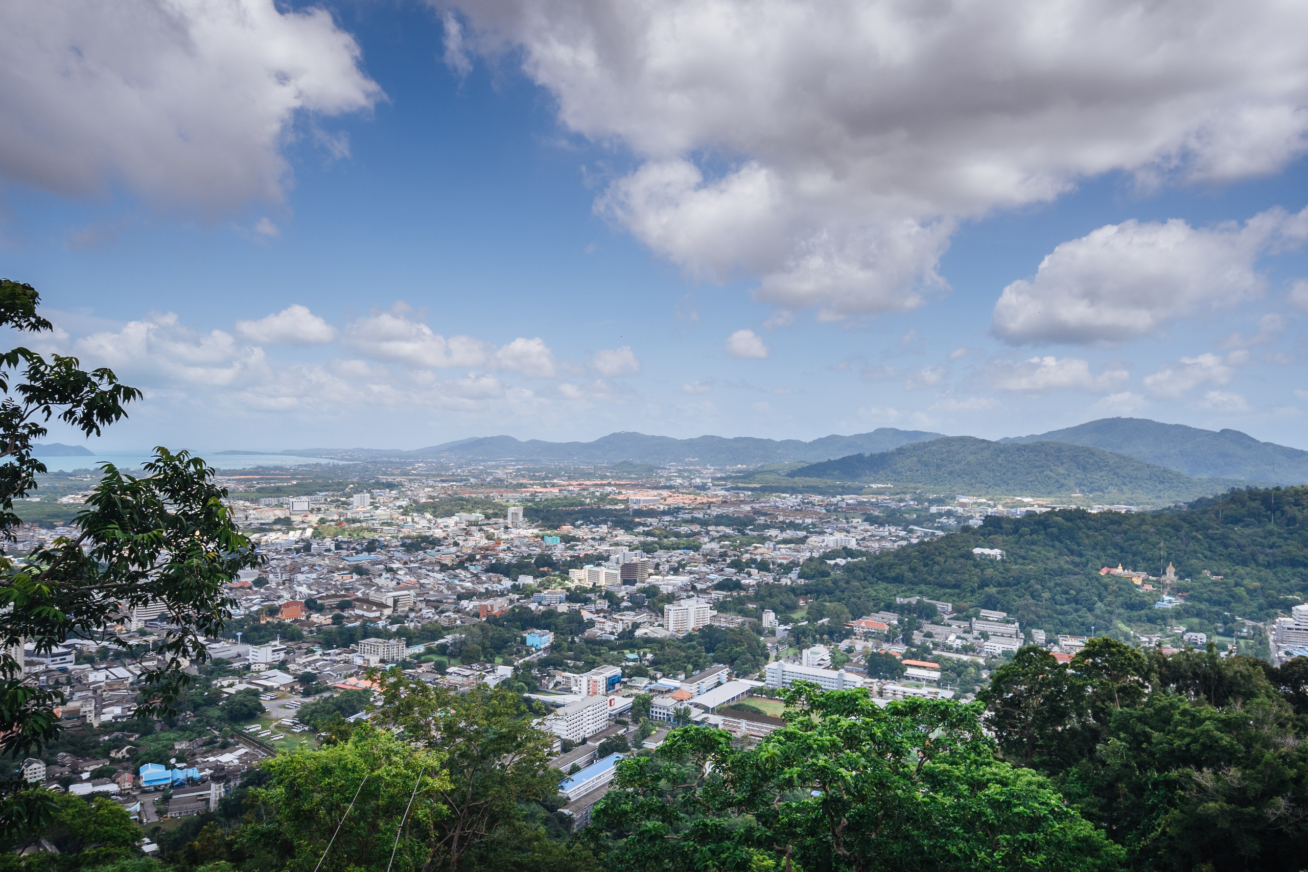 Animals Photographer in Phuket