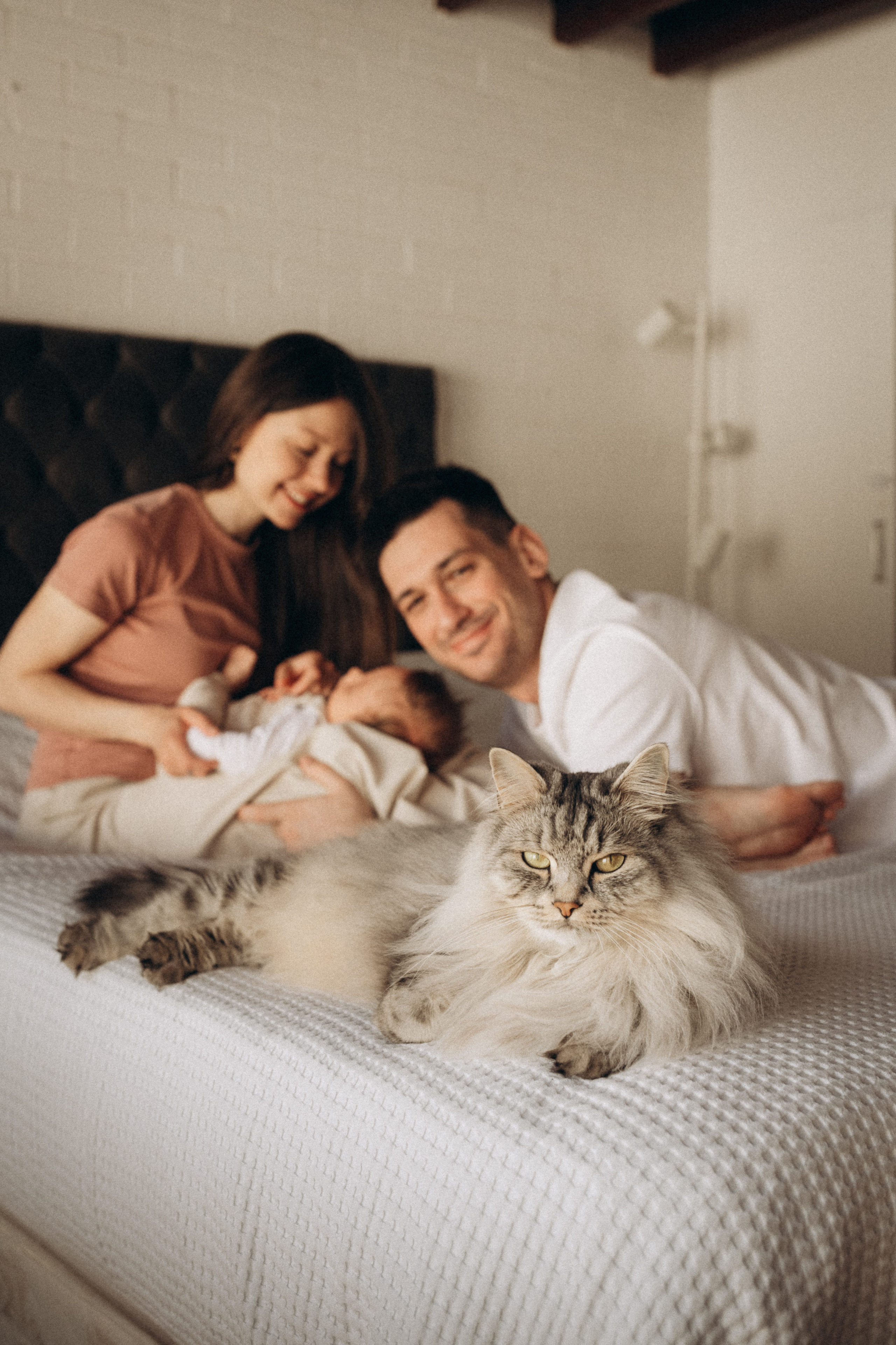 Newborn baby photographs in Dublin. Wedding & Family photographer in County Donegal and Dublin, Ireland