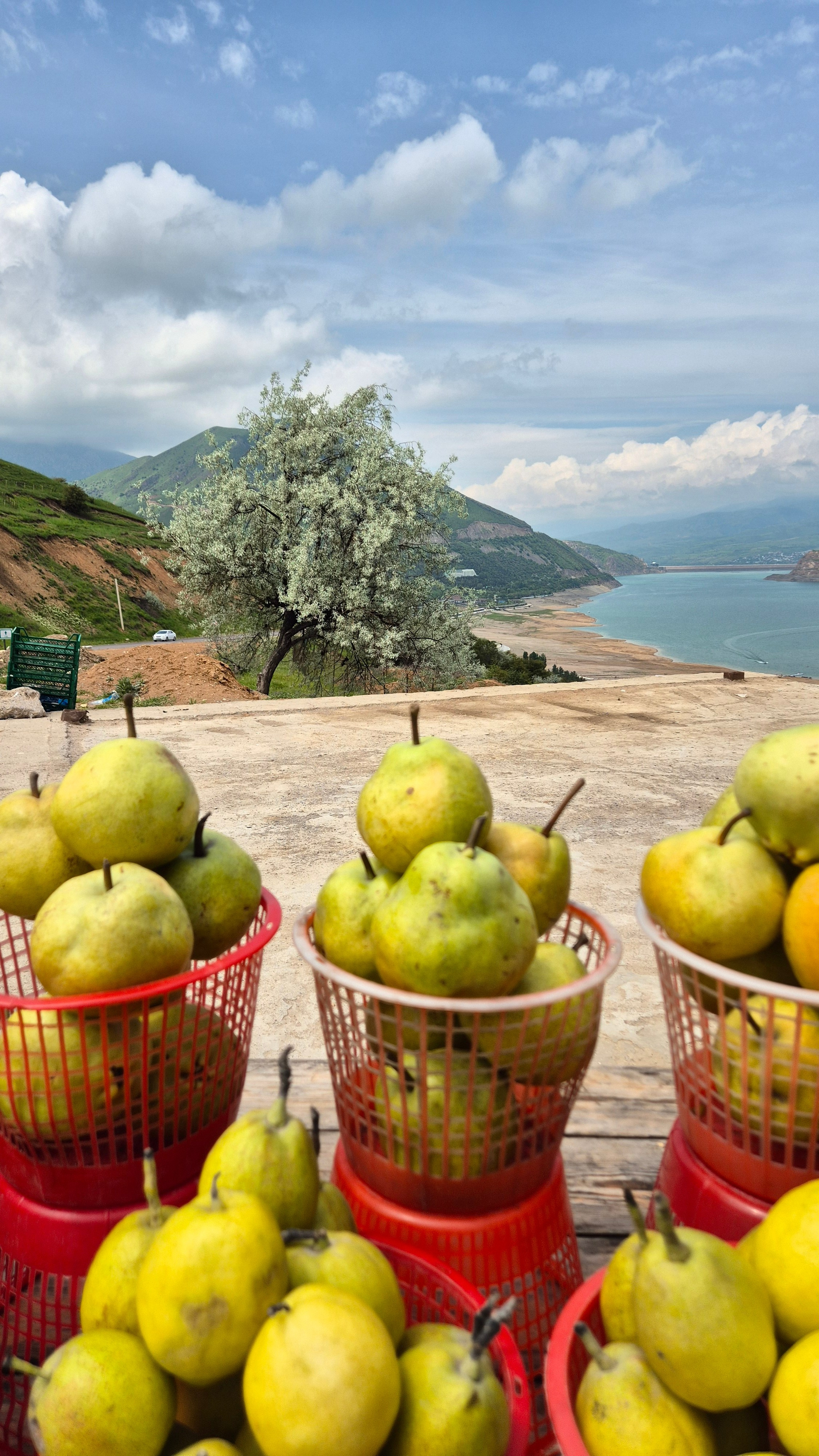 Uzbekistan 2024. Photographer Marina, city of Nuremberg