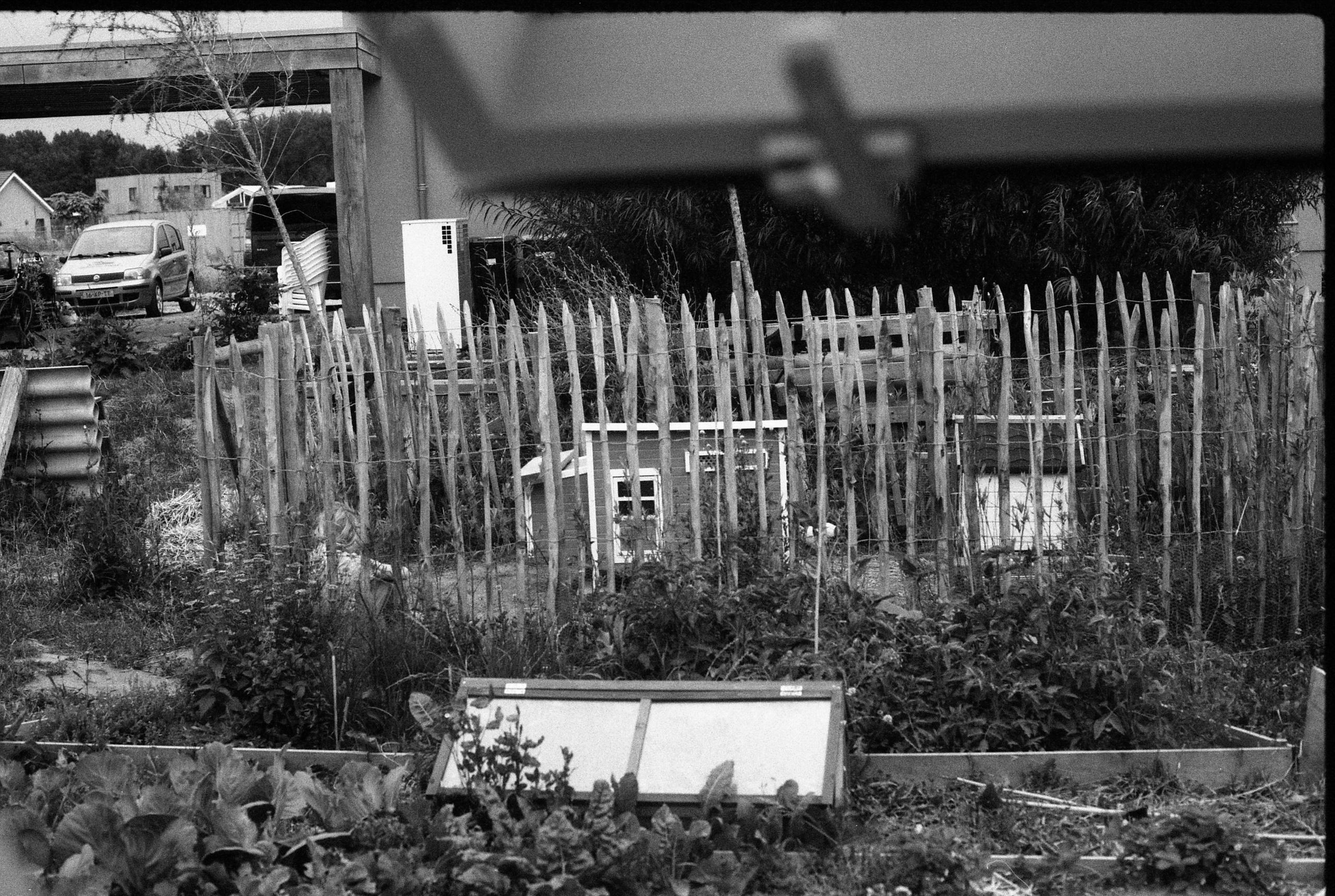 Oosterwold. Fotograaf Amsterdam - Victoria Ushkanova