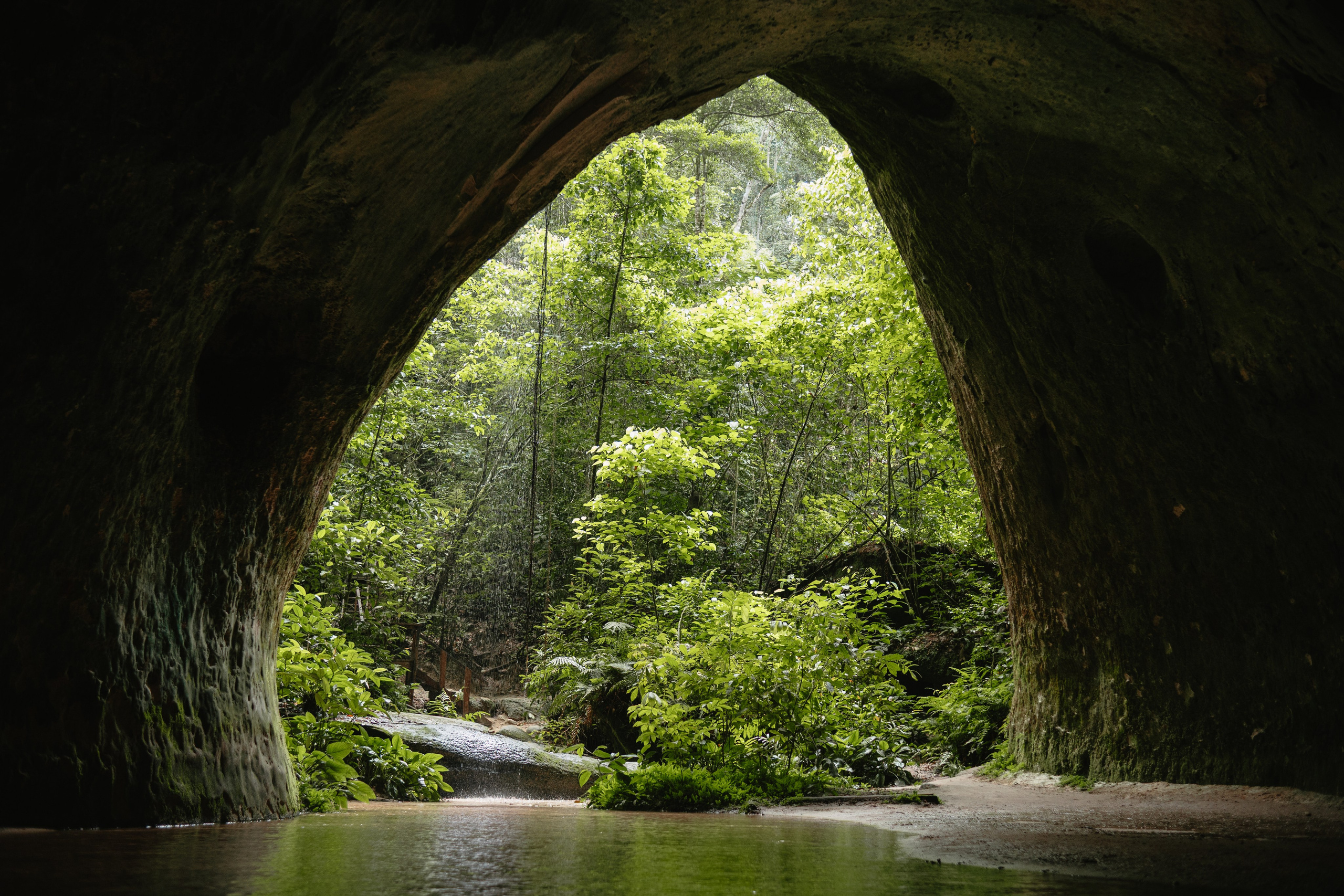 Fotografia de Hemylle Montefusco