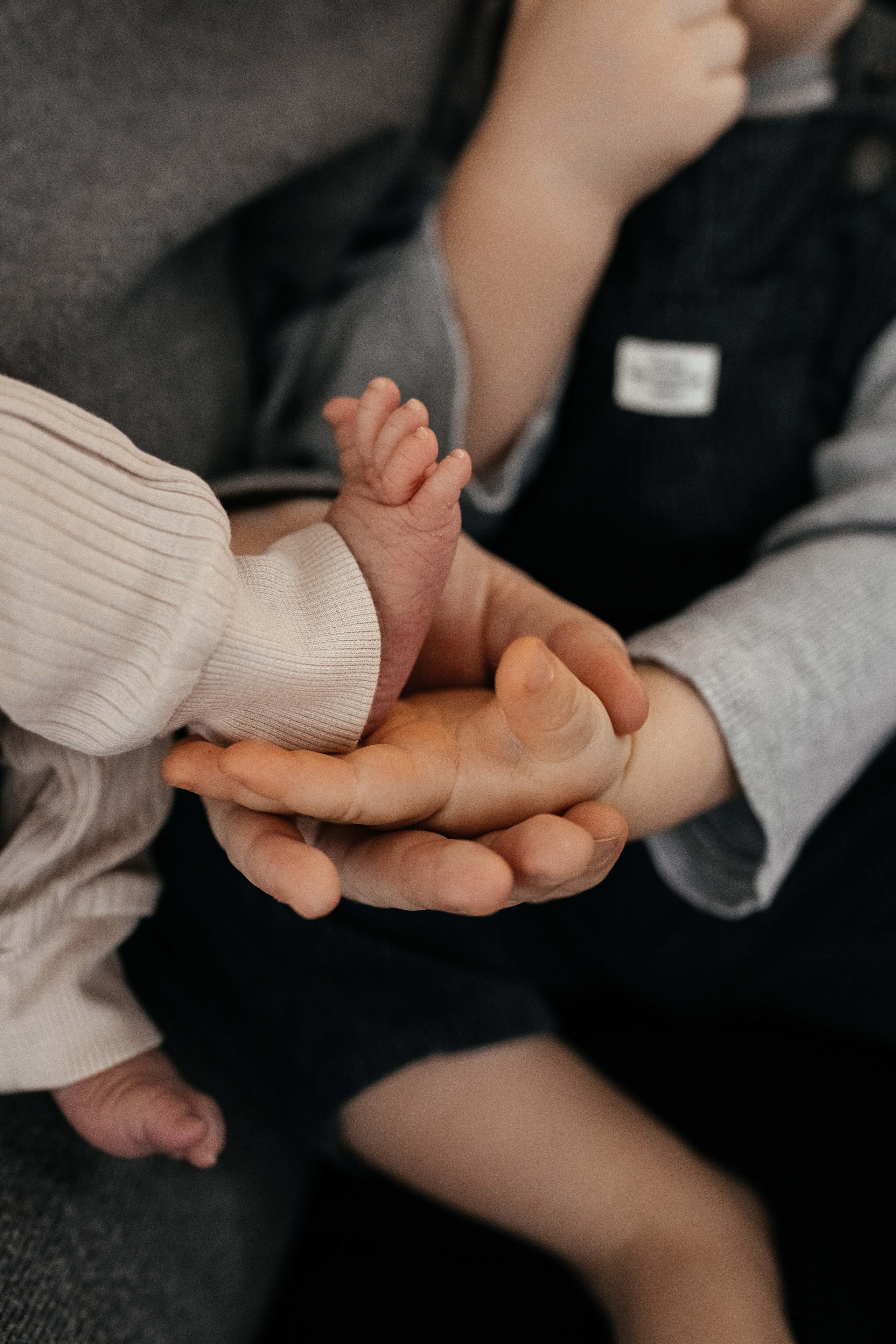 Newbornfotografin. Familien-, Hochzeits- und Newbornfotografin Neustadt an der Weinstraße