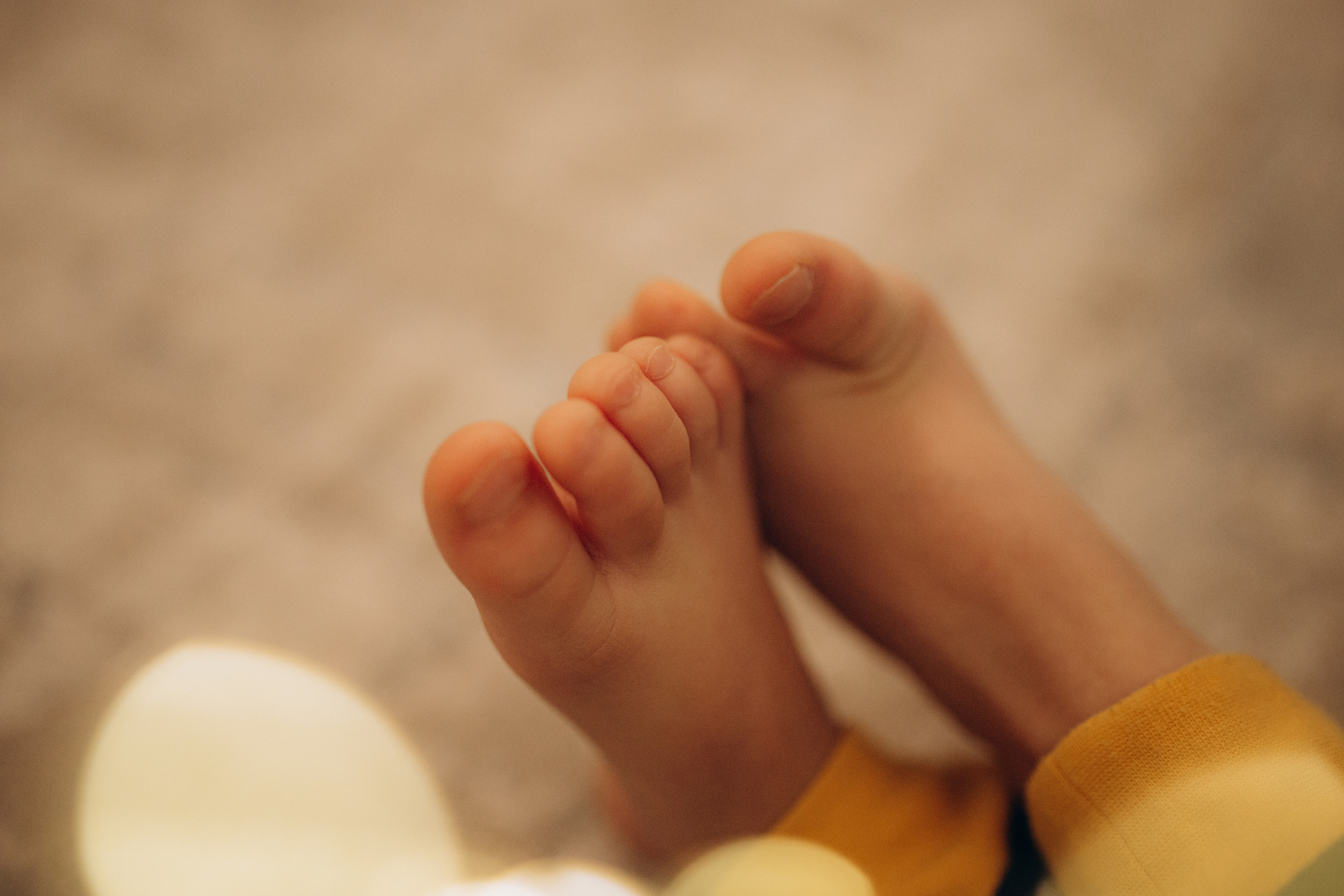 .Ludmila Paladi Family