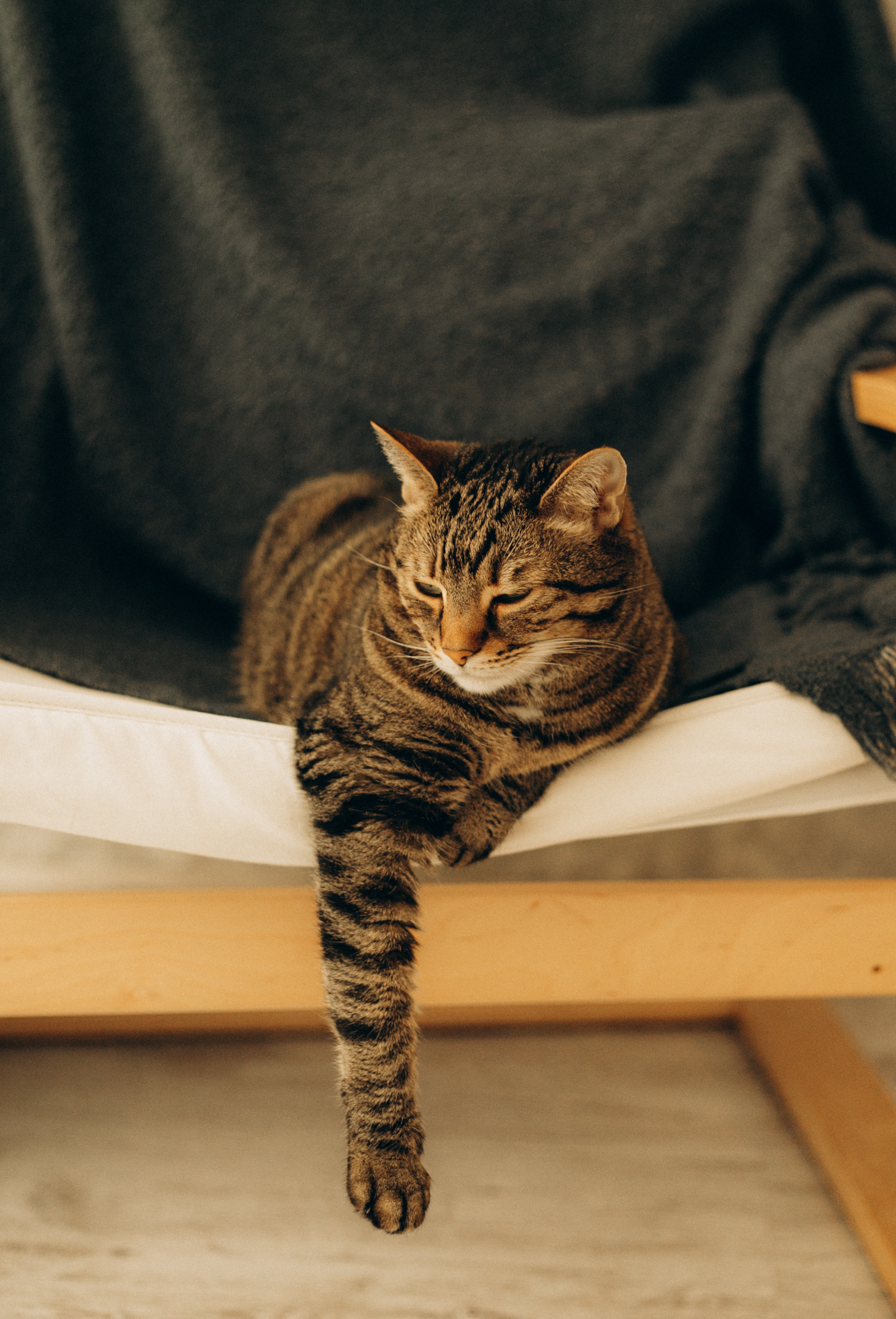 Малышка Алиса