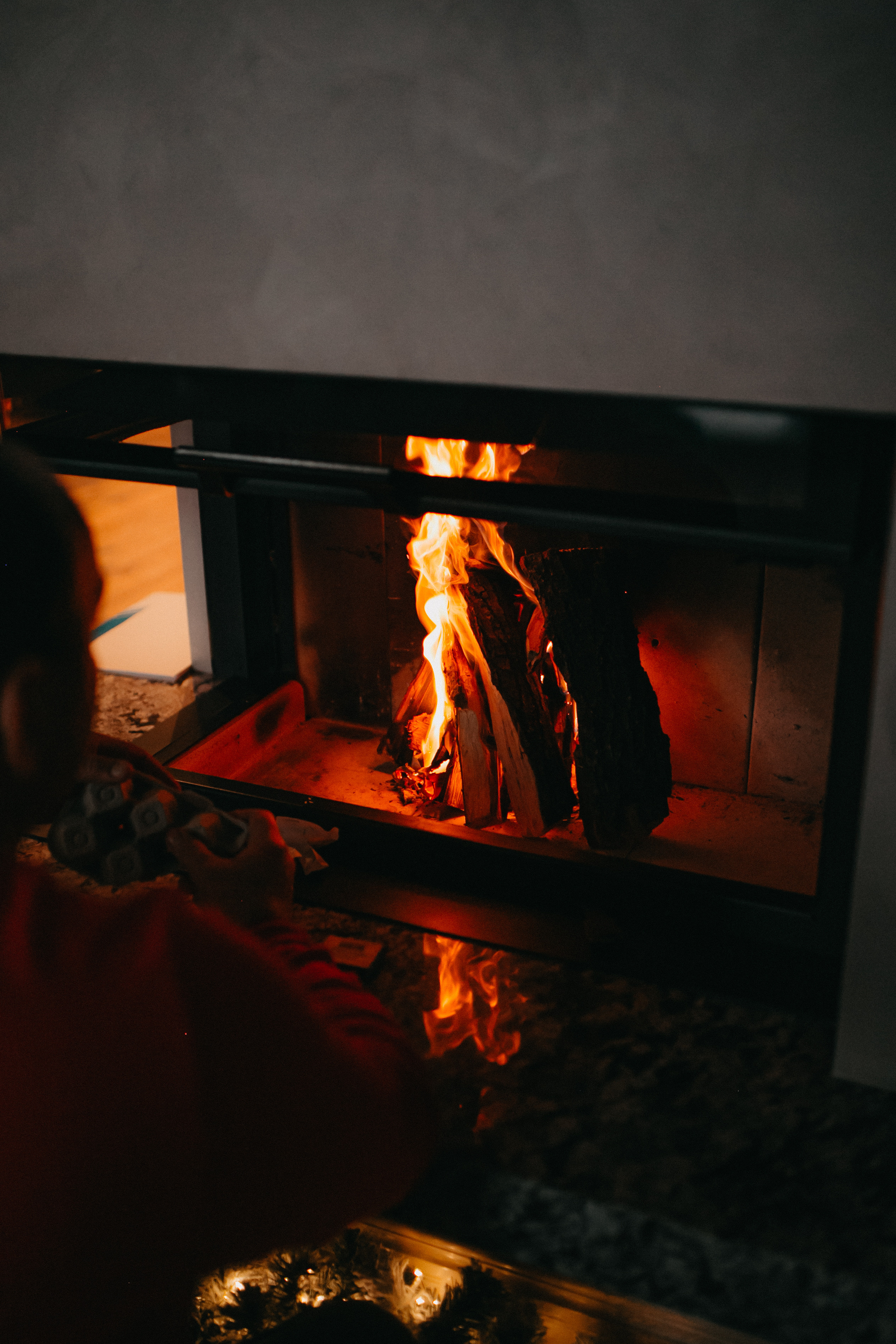 .семья Варинских