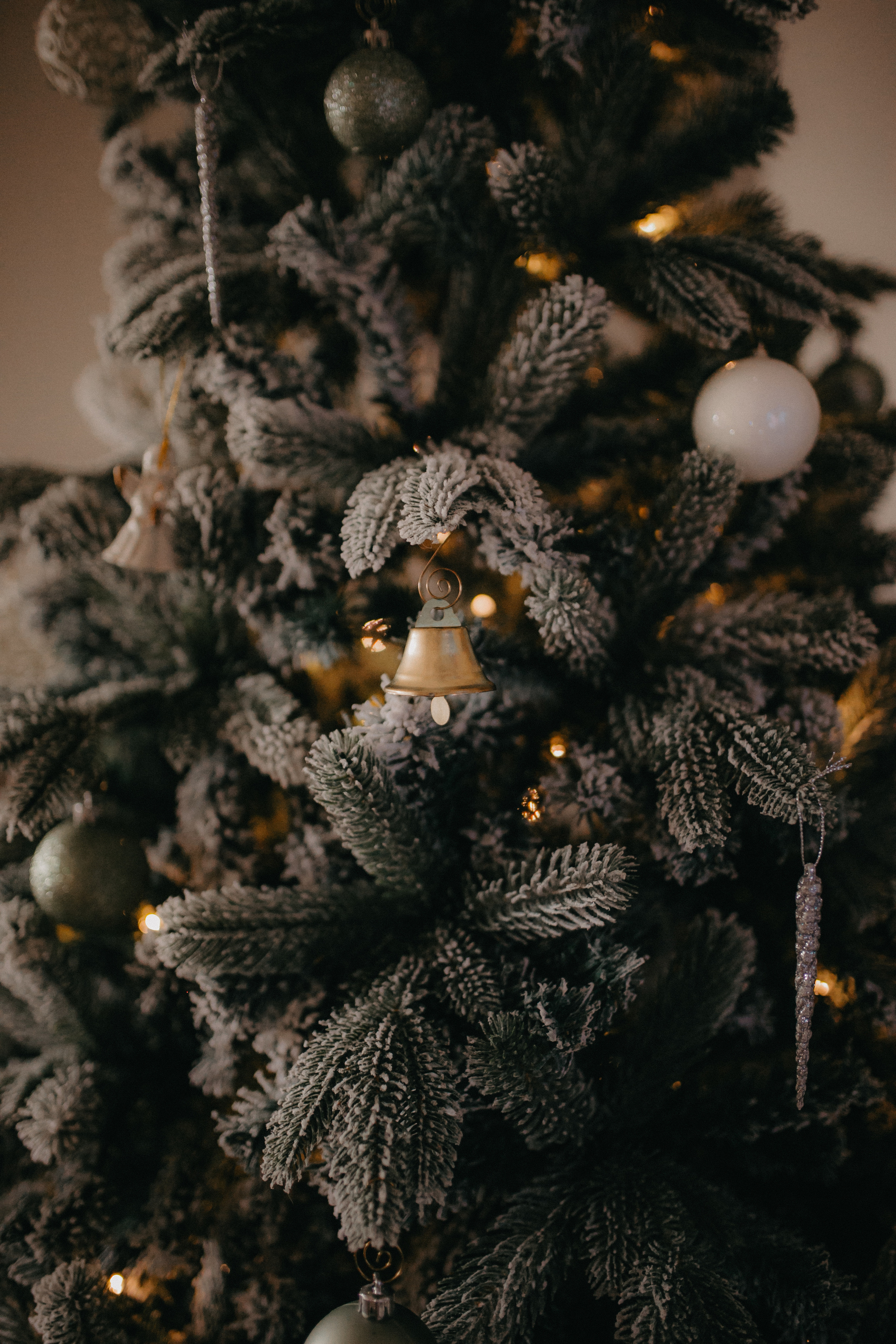 Семья Виталия и Виолетты