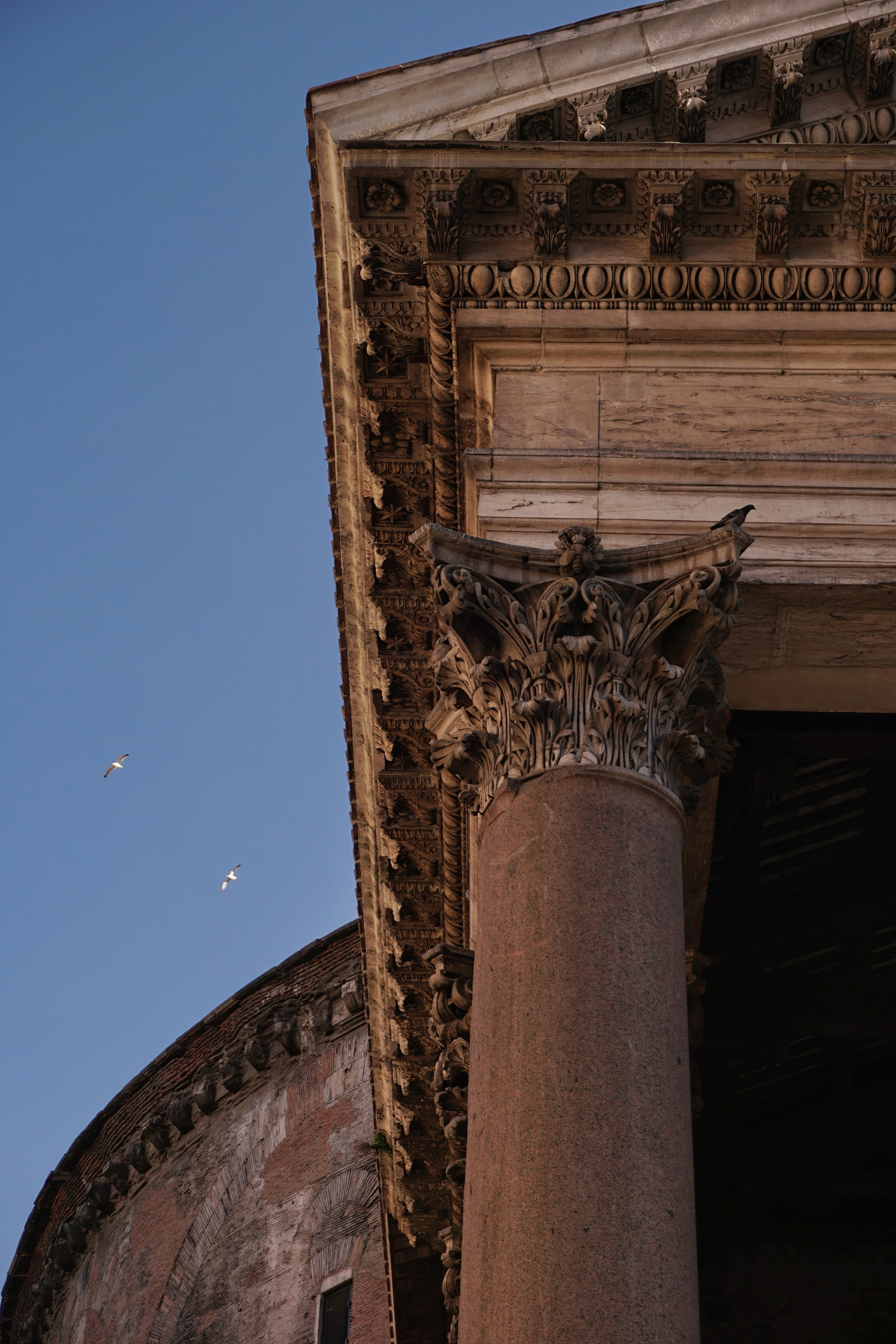 Photography of Italy – Close-up detail of a granite column and entablature of the Pantheon in Rome, photographed as part of a photography book about Rome.