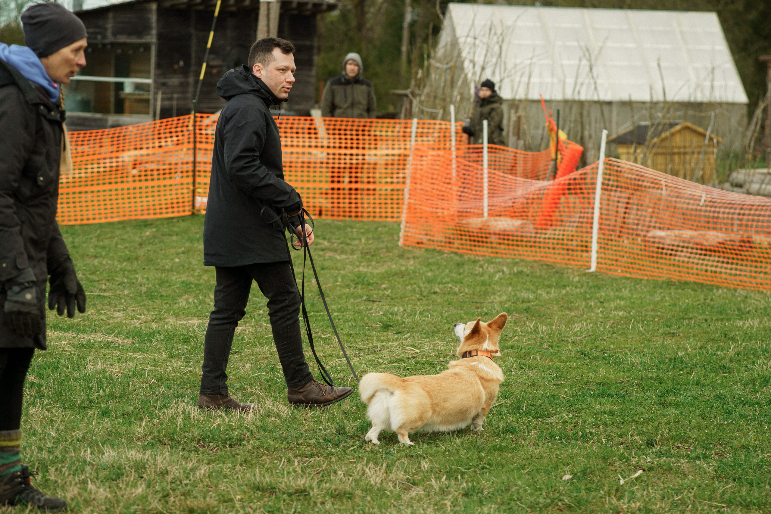 Herding Days, 26 apr. 2025. Kat Laisaar — Pet photographer in Tallinn