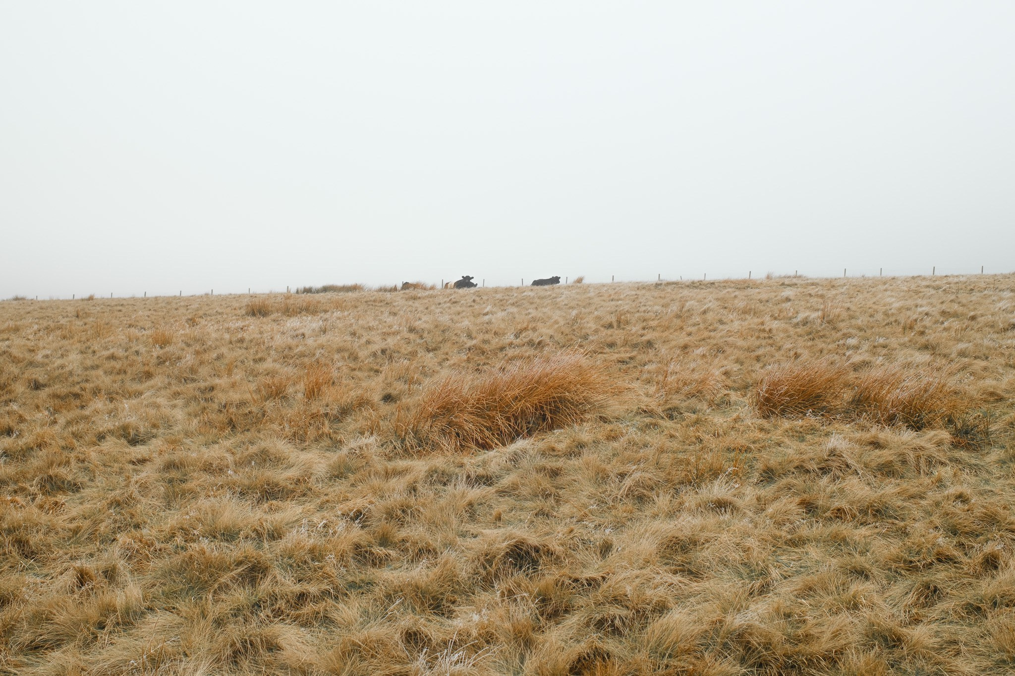 Peak District 2024. Cal Takes Photos