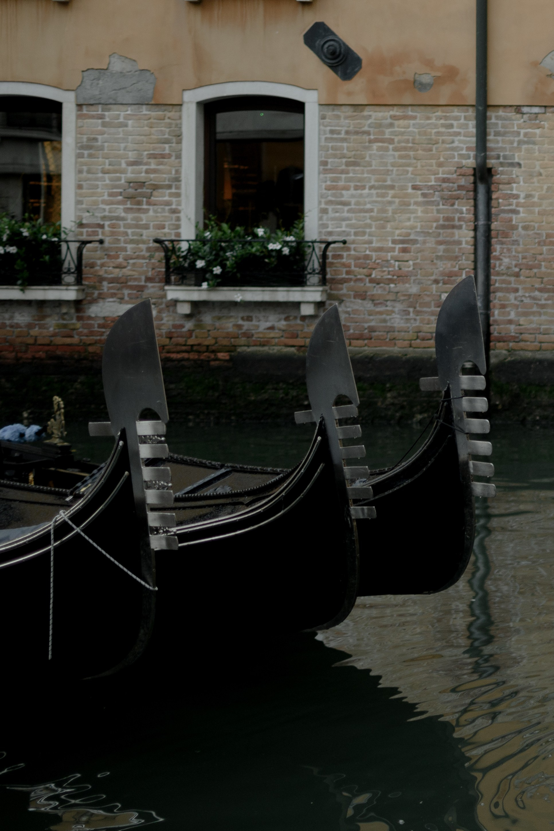 Nikky and Alec. Фотограф в Венеции, Италия. Зотова Яна