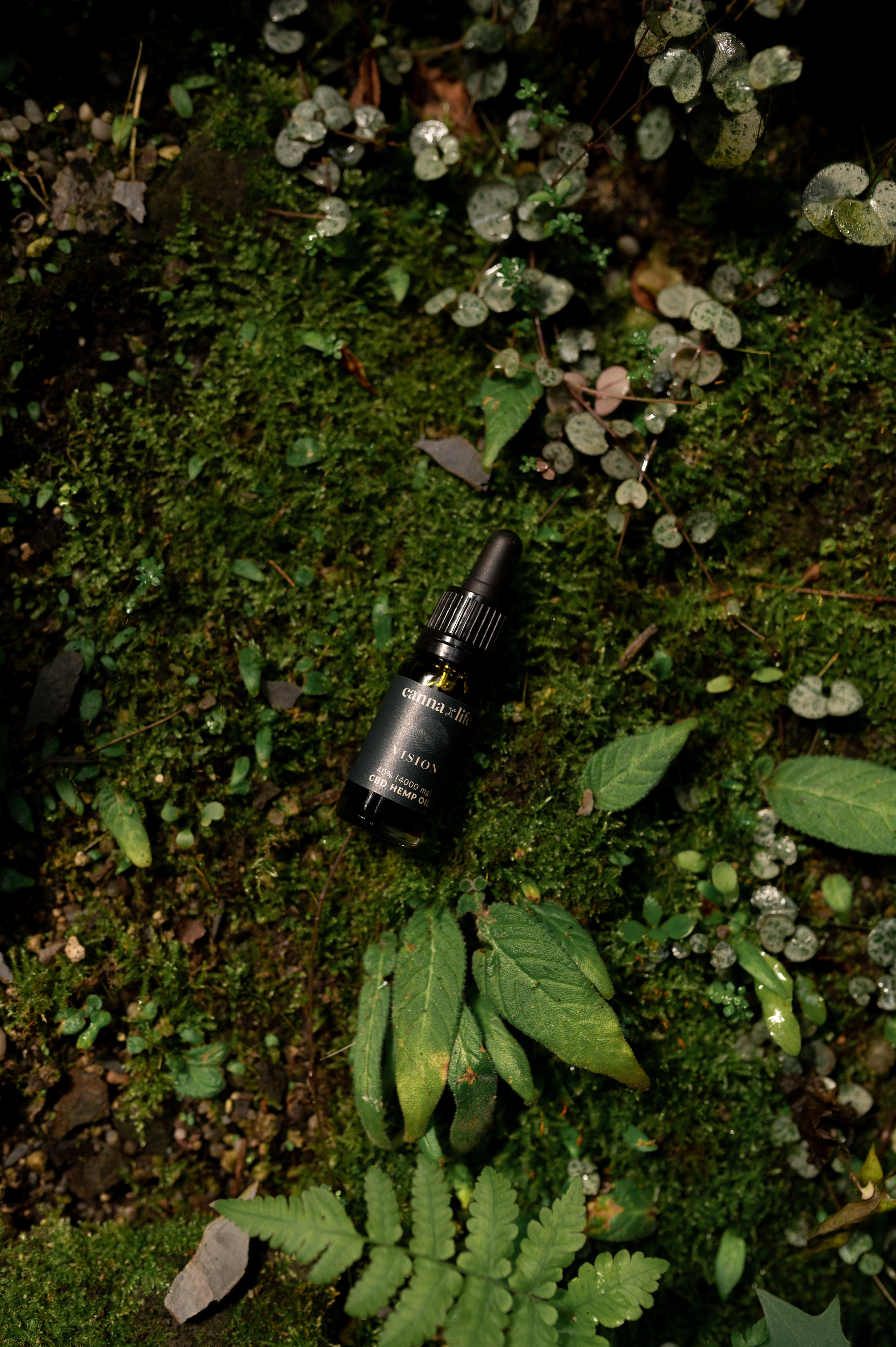 CannaXlife CBD products. ANNA-MARIA PHOTO CONTENT CREATOR — фотограф, эстет, художник и визуальный эксперт в Instagram, работающий в Праге