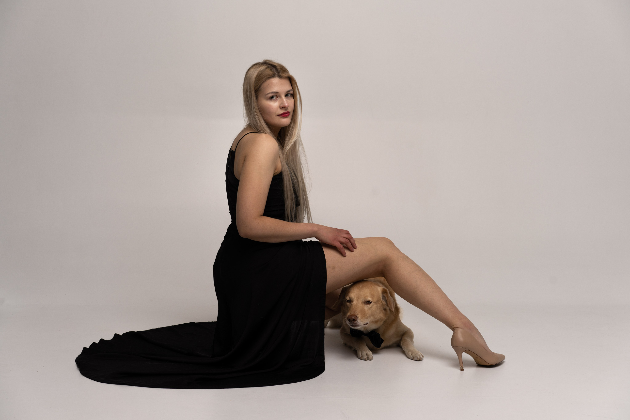 Studio with dogs. Sports and portrait photographer in Riga
