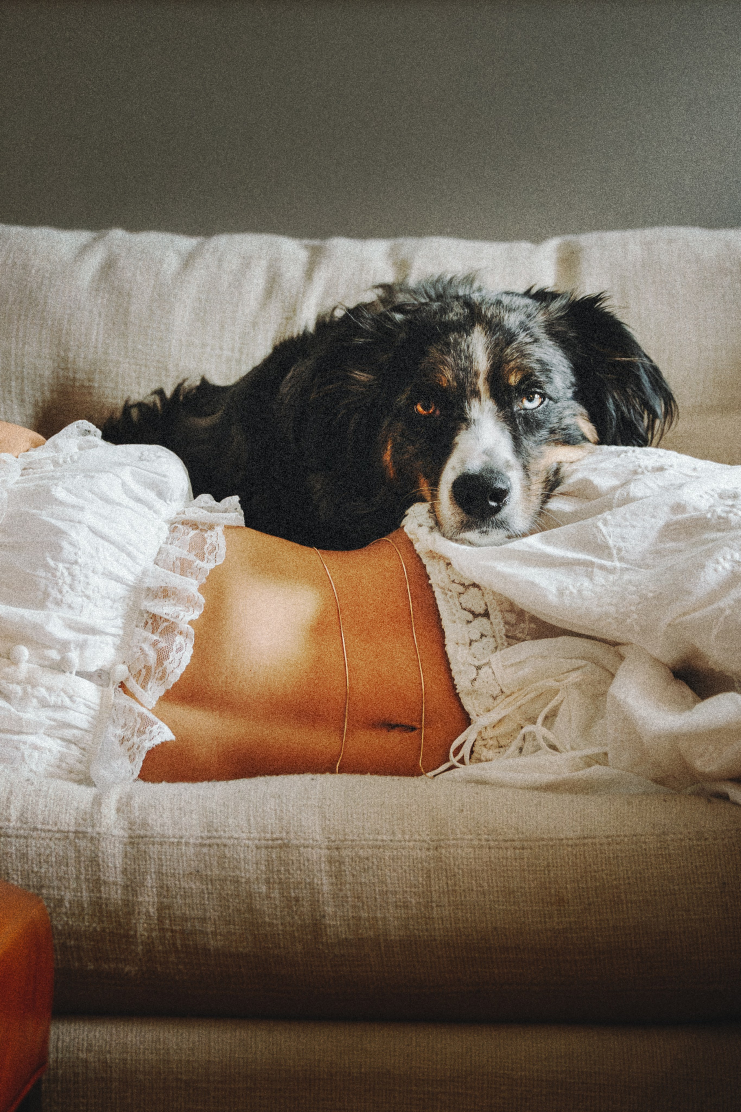 Aspen & Viktoriya. Pet Photographer Viktoriya Aleshenko