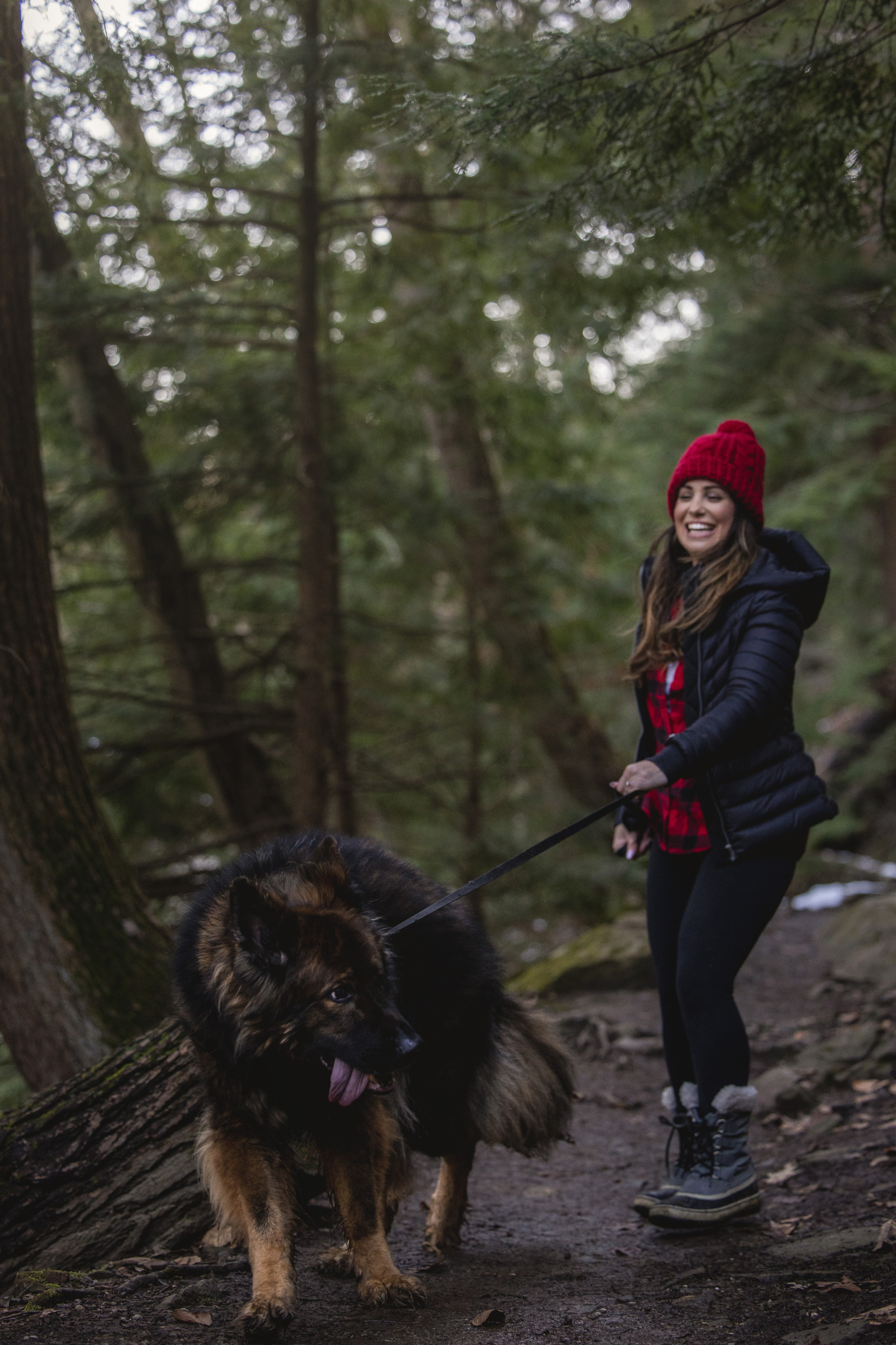 Ezra & Laura. Pet Photographer Viktoriya Aleshenko