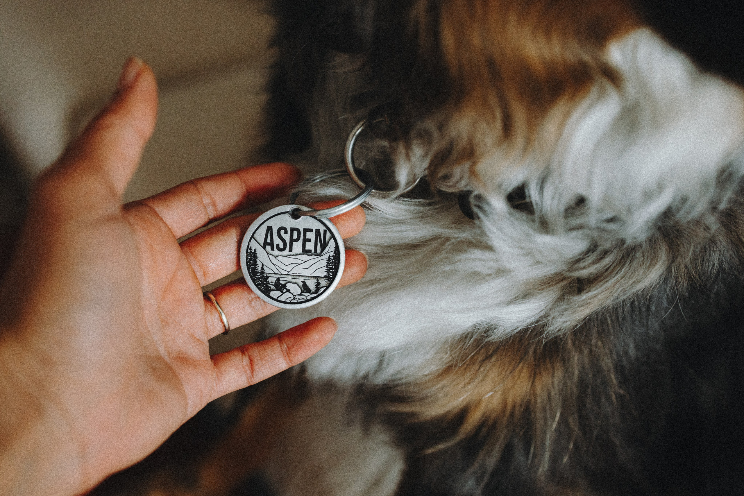 Aspen & Viktoriya. Pet Photographer Viktoriya Aleshenko