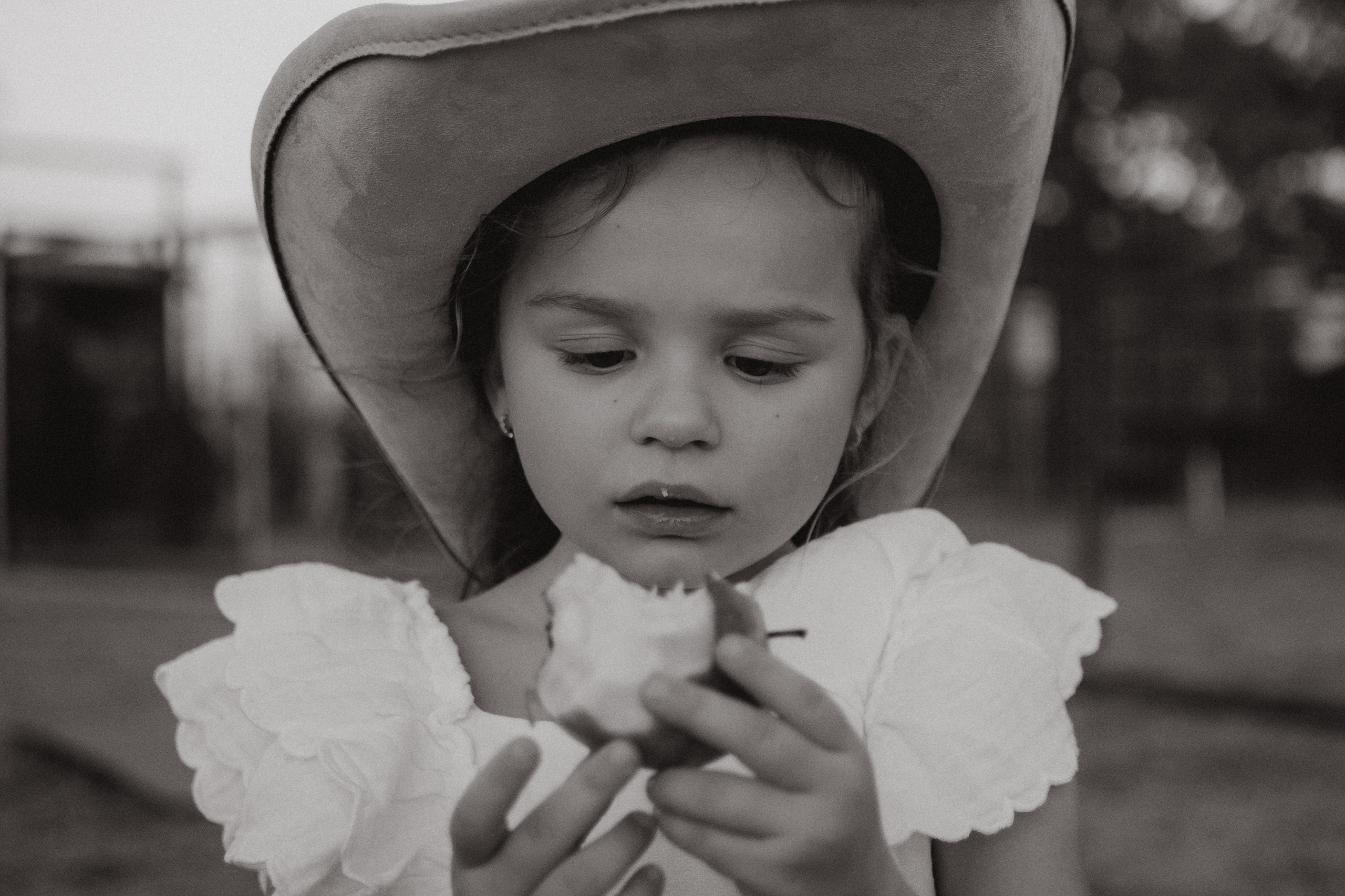 Farm Story. Lens Captures Life