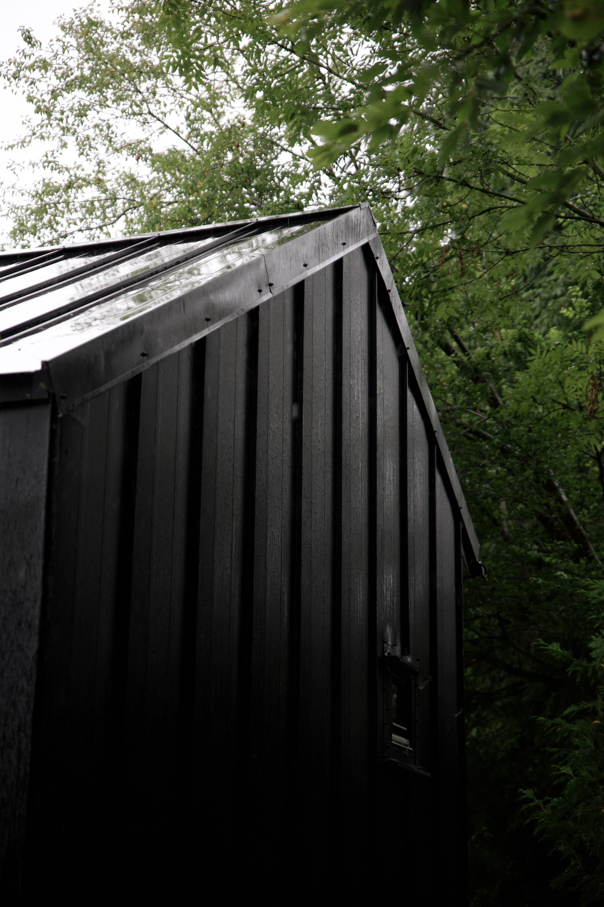 Airbnb photos. Patricia Morenci — Mountain Adventures for the Wild at Heart