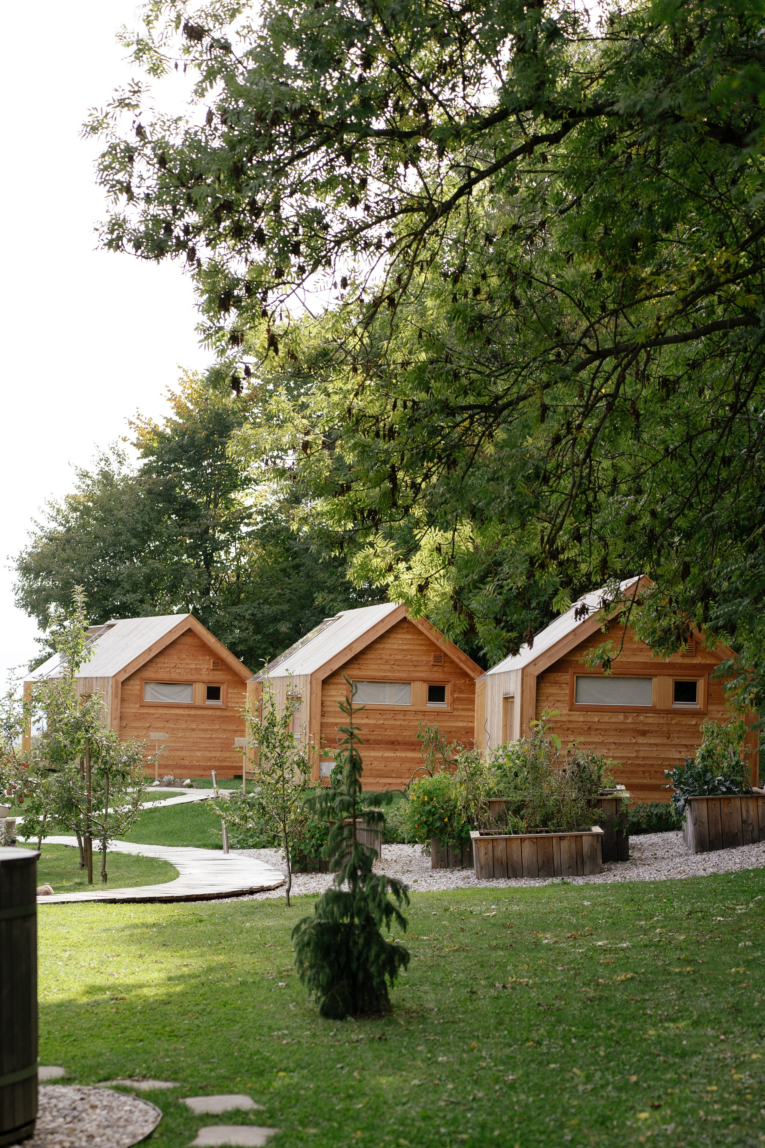 Airbnb. Patricia Morenci — Mountain Adventures for the Wild at Heart