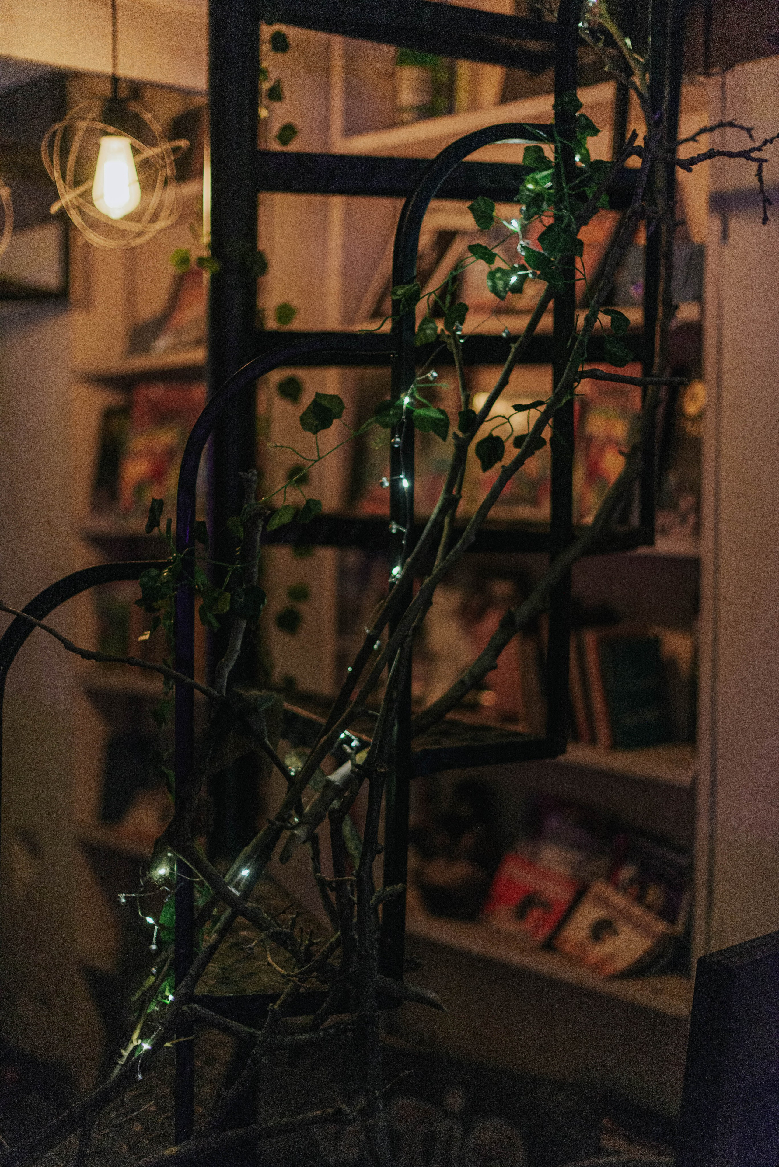 Ladno.cooperativa. Photographer @elmirkami in the city of Buenos Aires