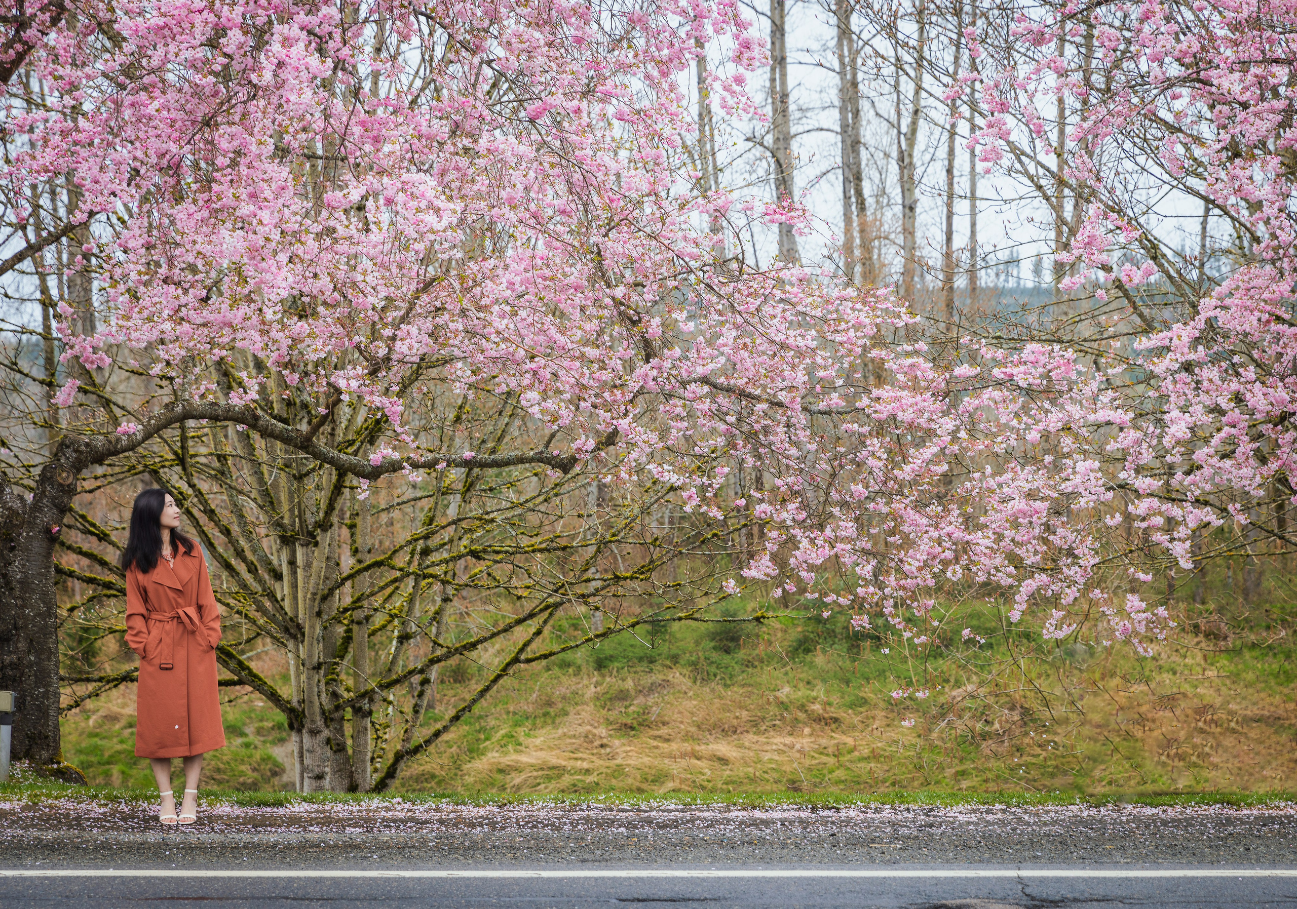 Life Style. Joanna Jin Photography