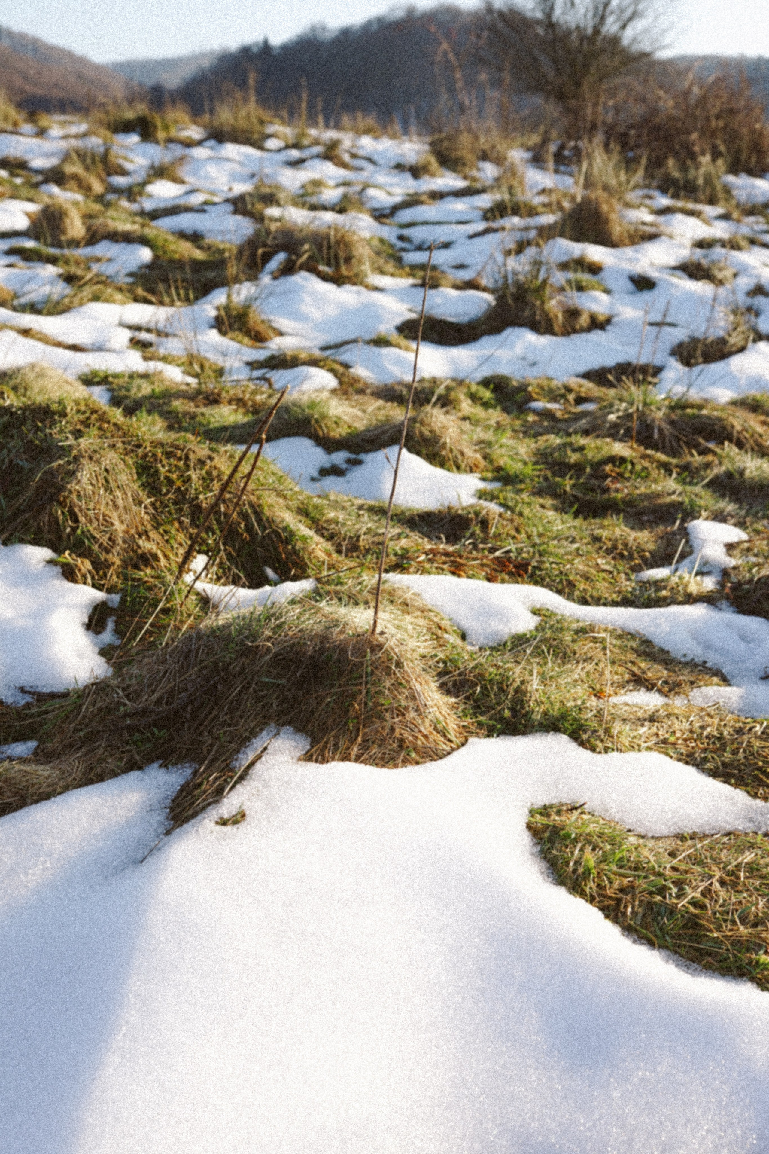 Povești de Viață: Mădălina Beda, Doula și Fotograf. Madalina Beda- Artist vizual, fotograf, doula la nastere, consultant babywearing Brasov si in toata tara